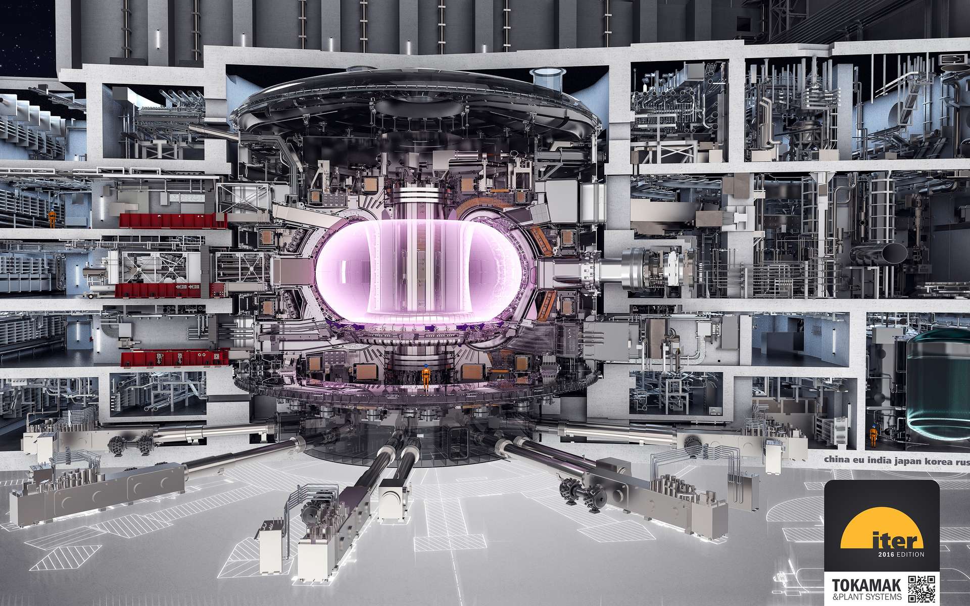 the international thermonuclear experimental reactor (iter)