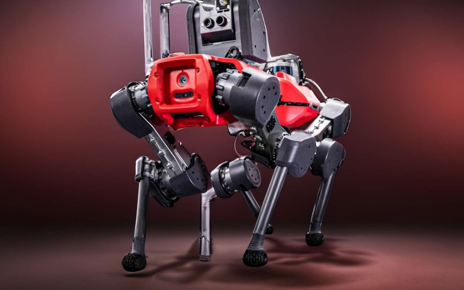 Le robot-chien développé par ces ingénieurs se comporte comme un chat !