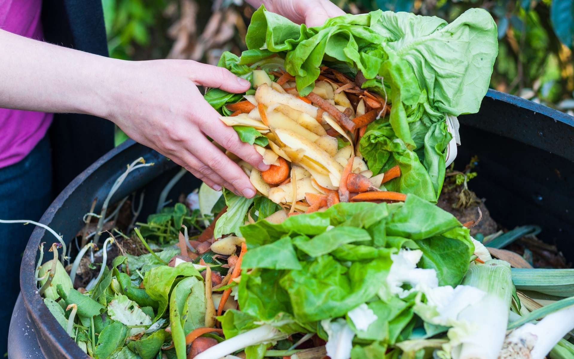 Le potentiel insoupçonné des biodéchets