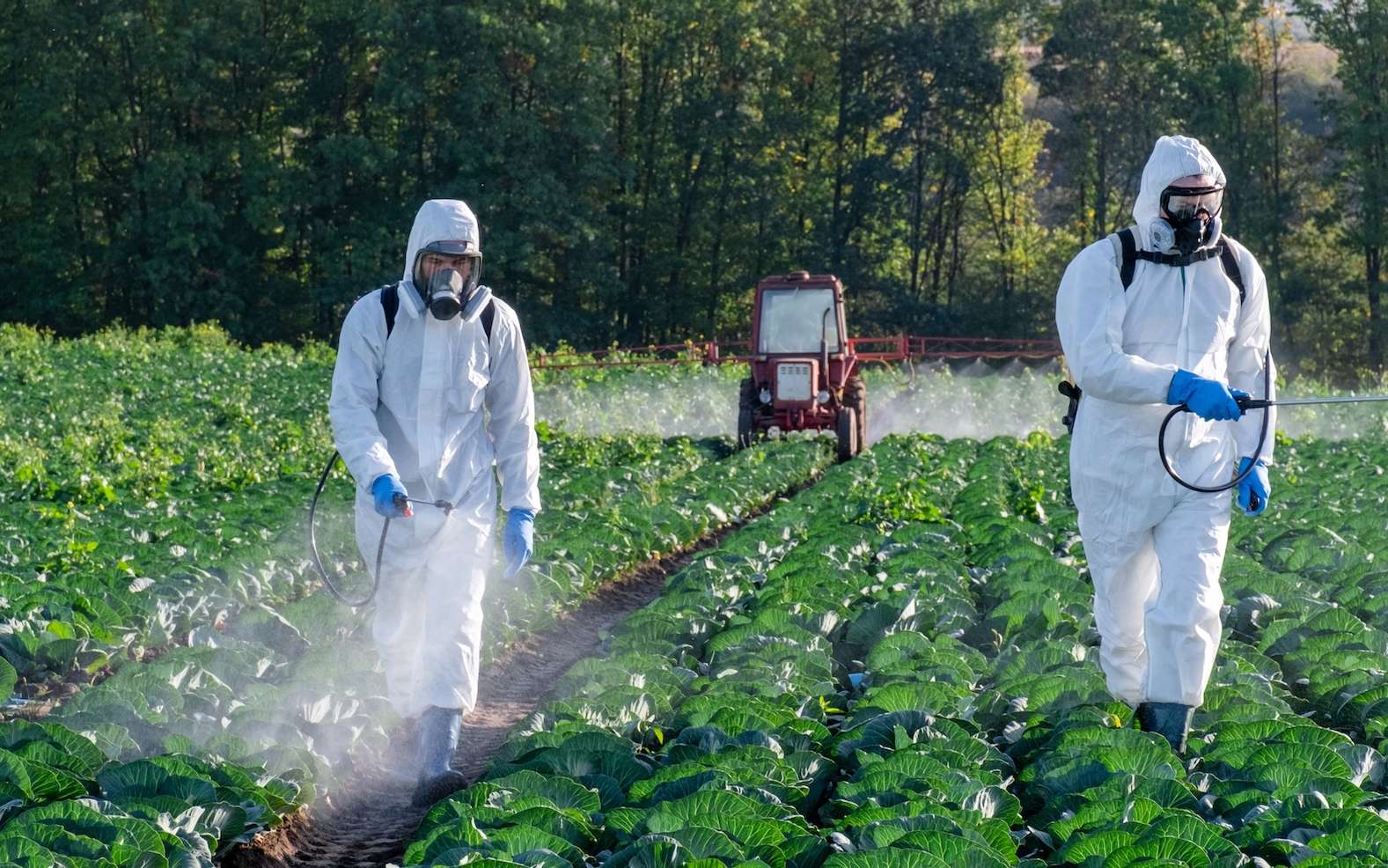 L'usage des pesticides en France a explosé ces 10 dernières années !