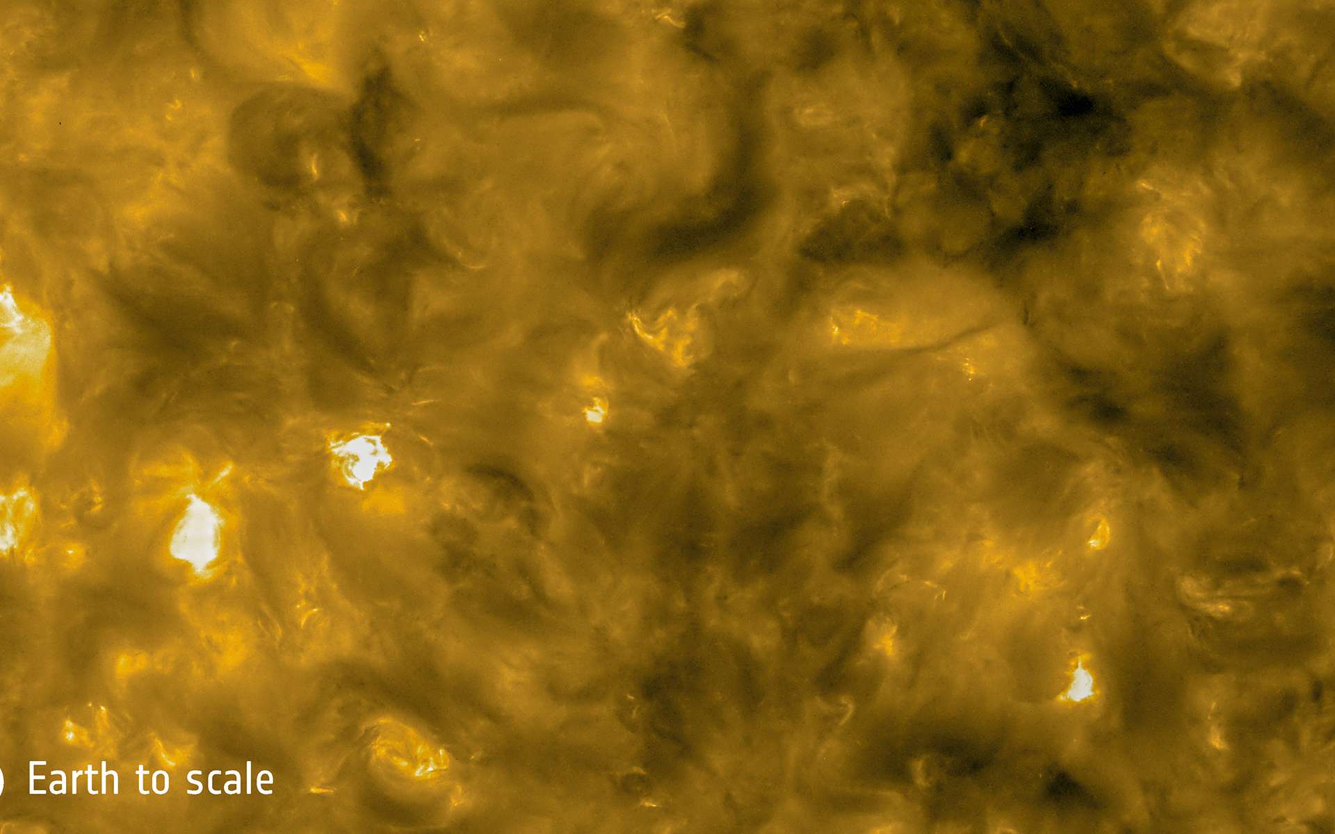 Jamais le Soleil n'avait été photographié d'aussi près : découvrez les premières images de Solar Orbiter