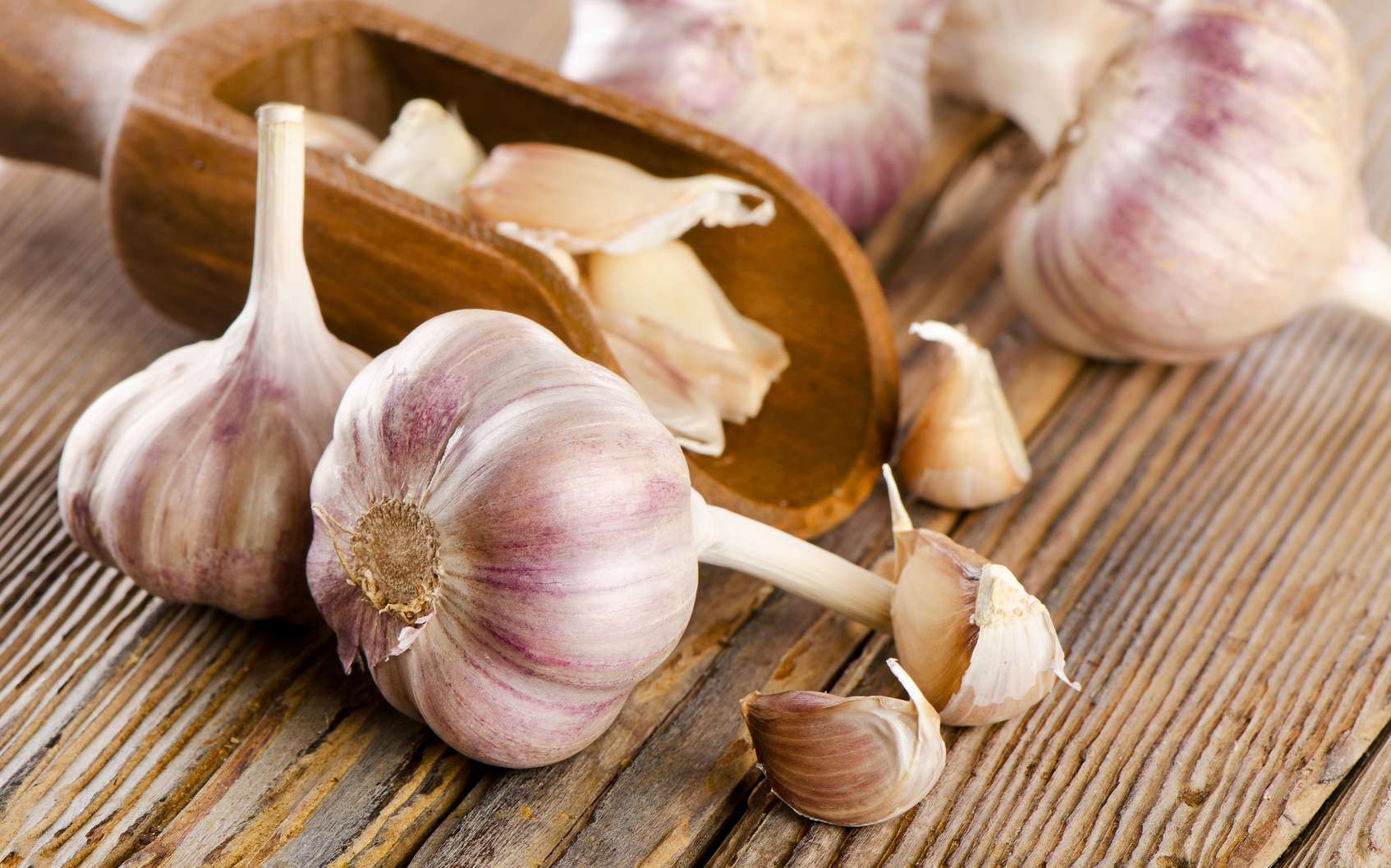 Garlic: what are its health benefits?