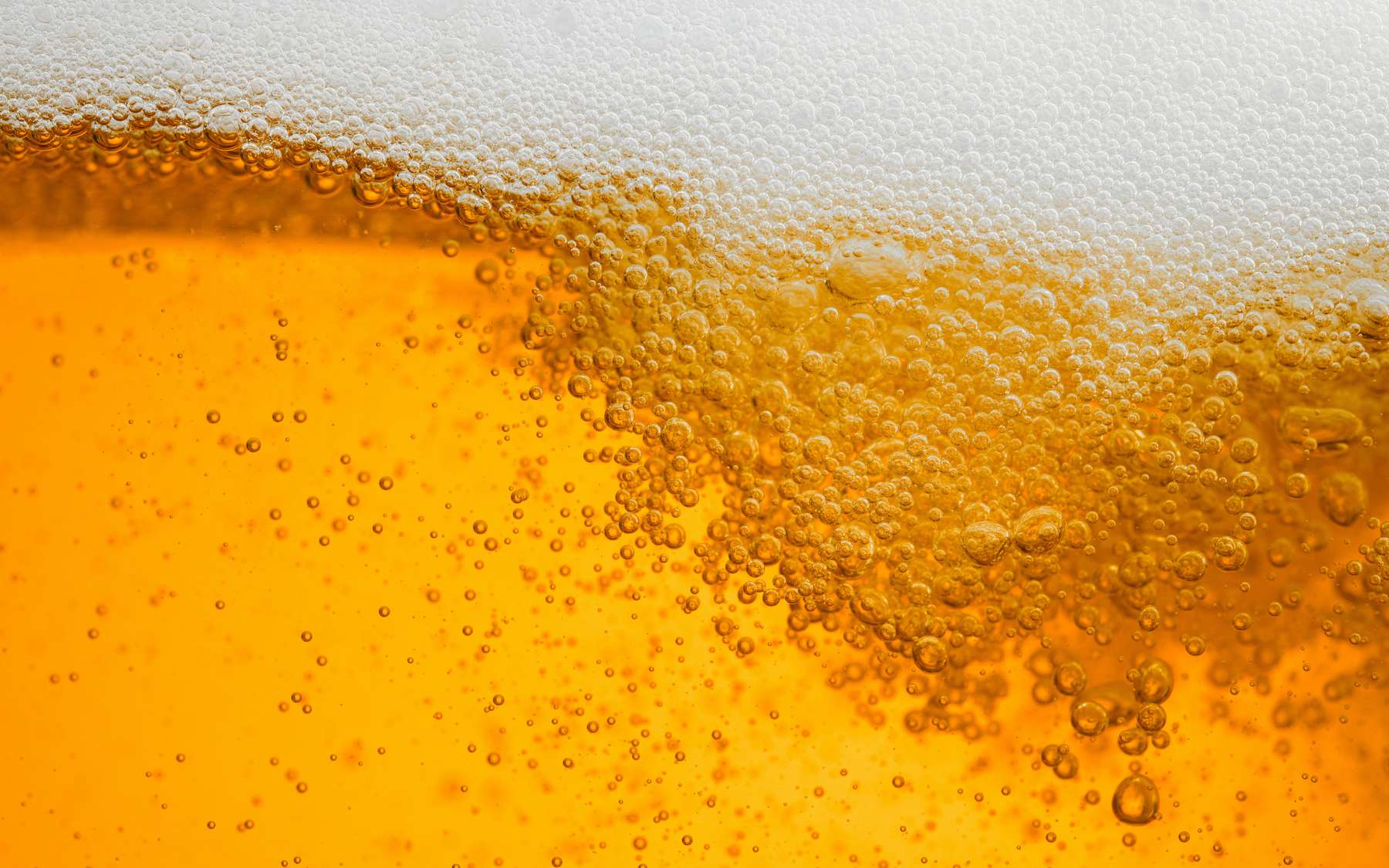 Science décalée : combien de bulles contient une chope de bière ?