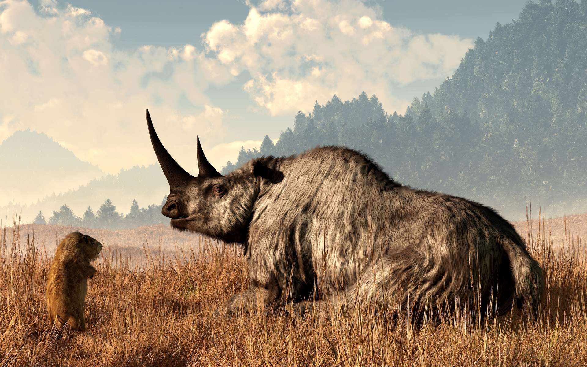 Des scientifiques reconstituent le génome du rhinocéros laineux à partir de crottes de hyènes !