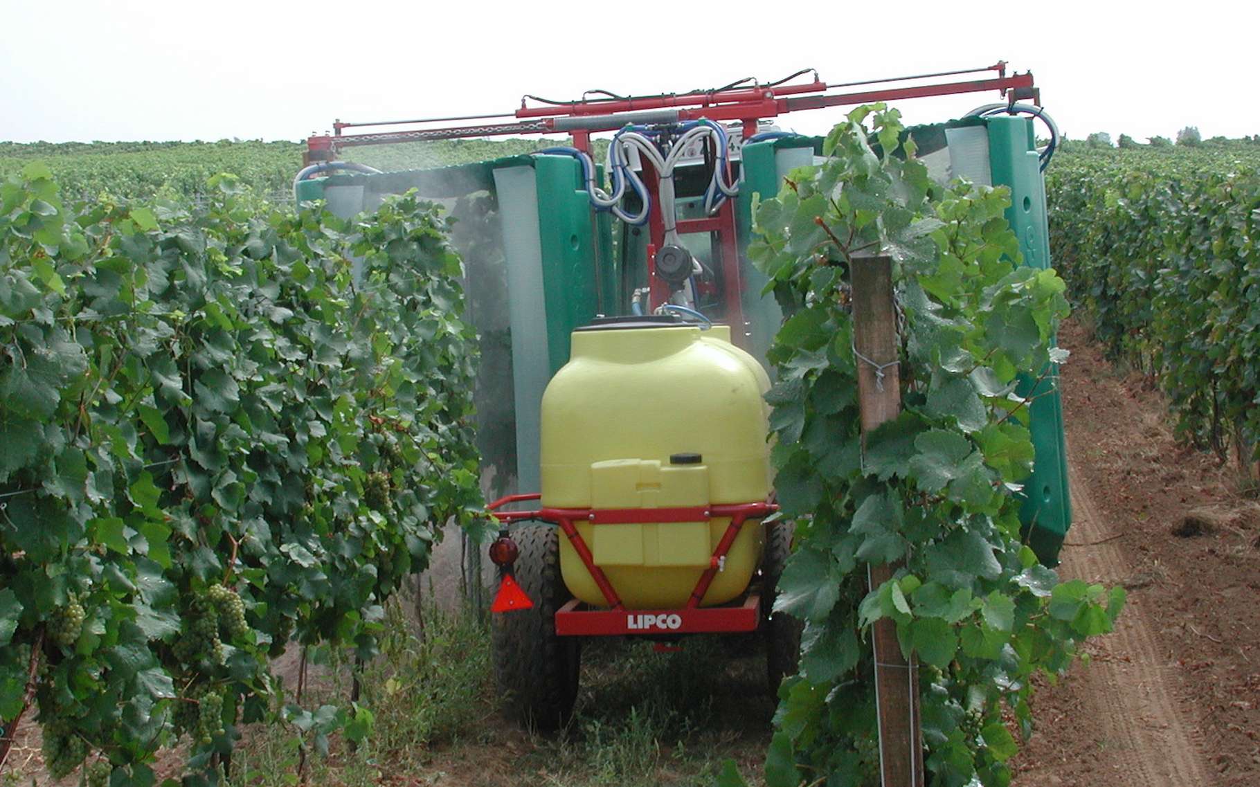Définition Pesticide Futura Planète