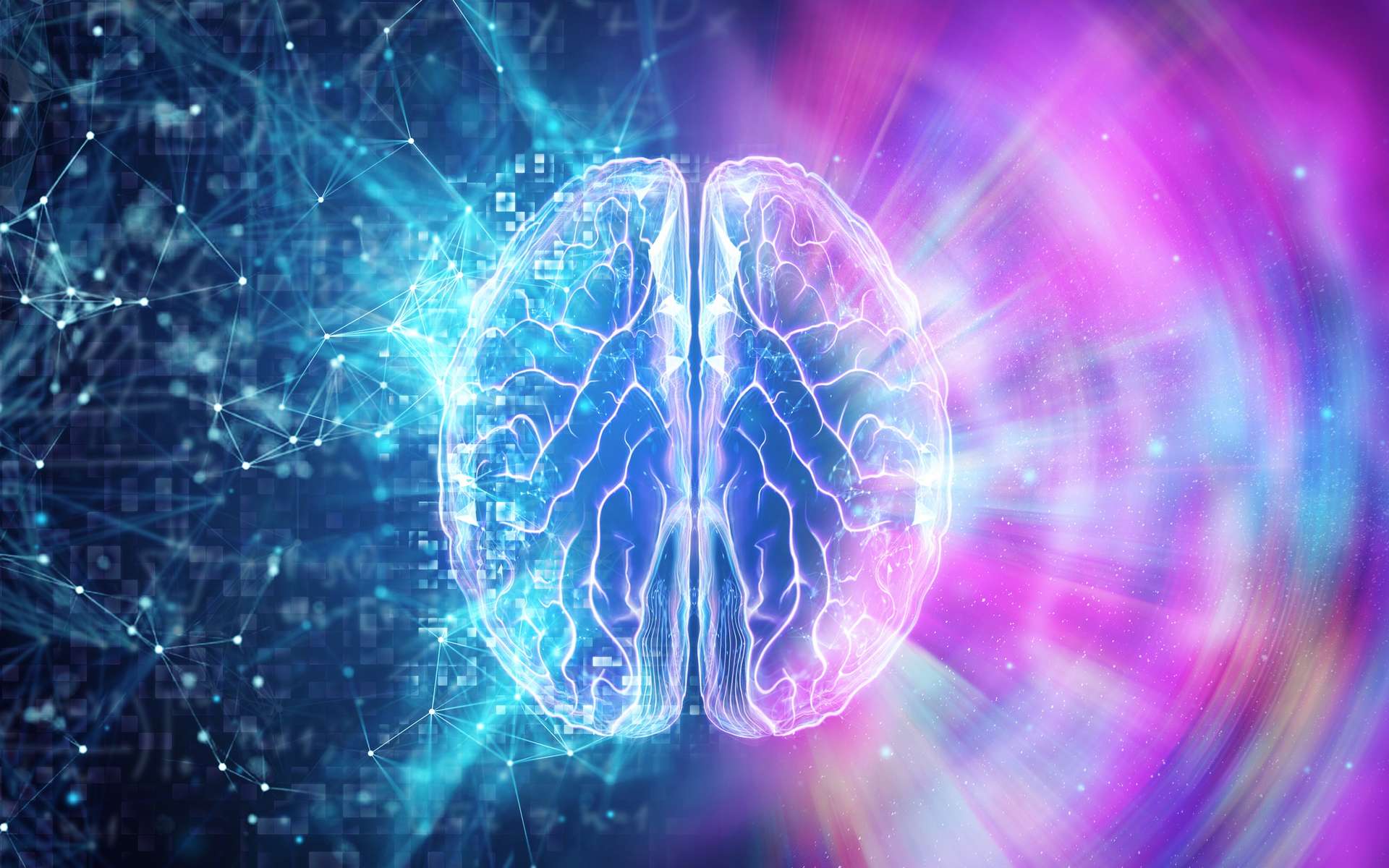 Une nouvelle technologie permet de voir le cerveau pulser !