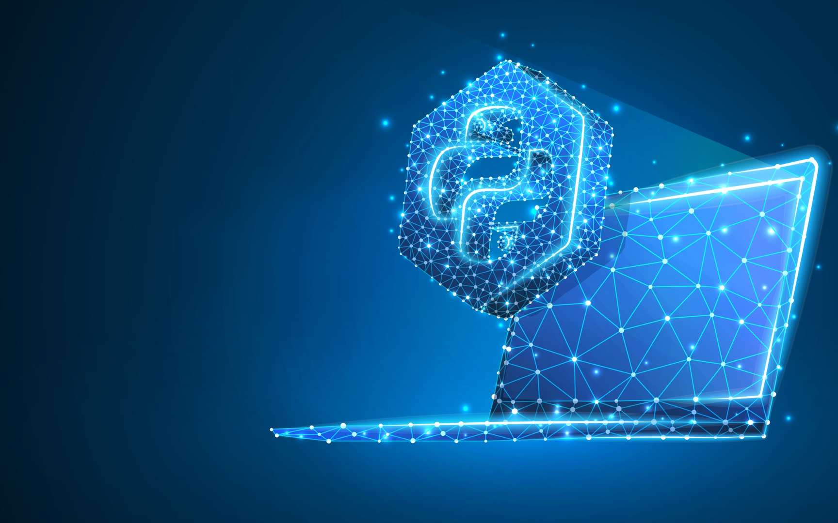 Définition | Python | Futura Tech