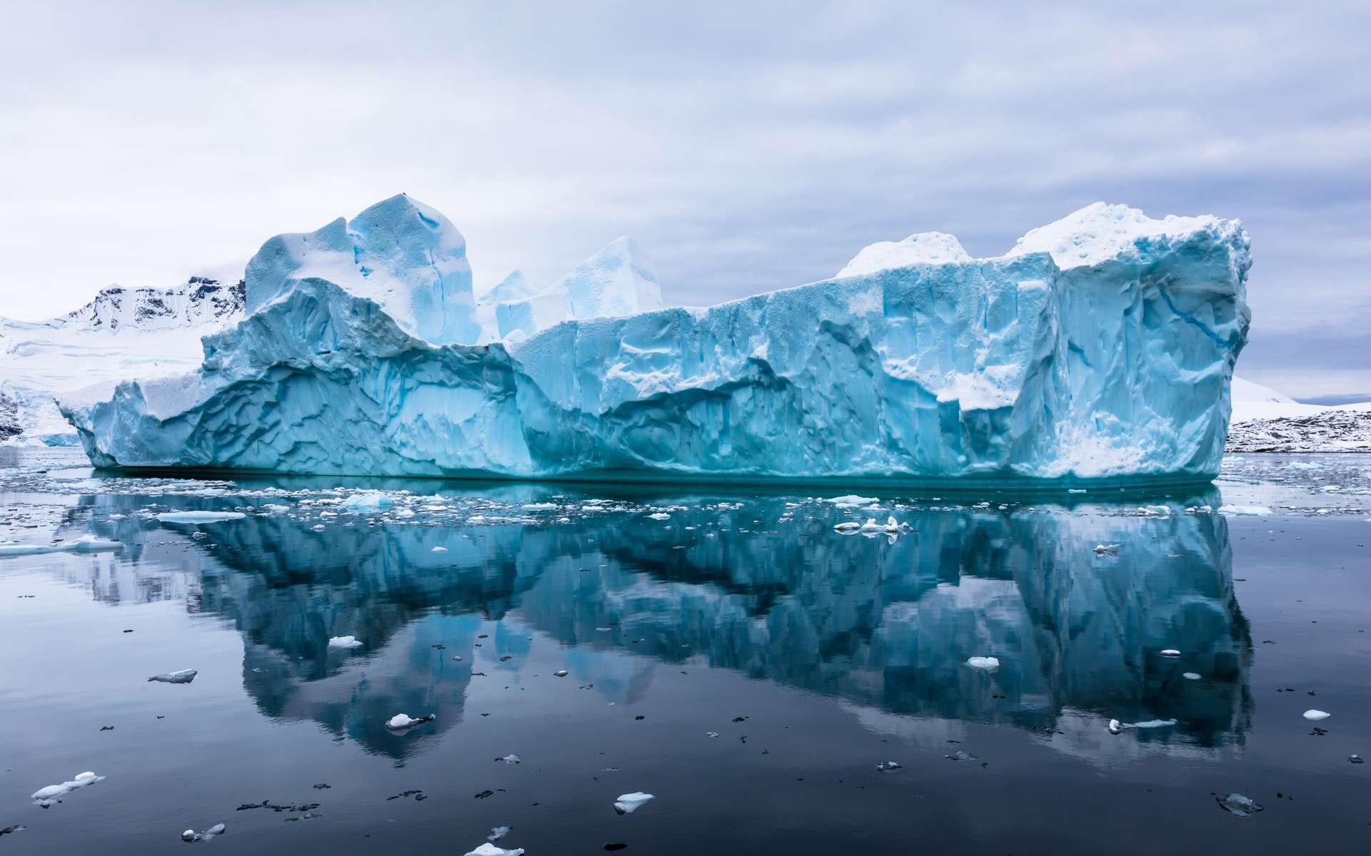 L'iceberg géant au large de la Géorgie du Sud a relâché 152 milliards de tonnes d'eau douce !
