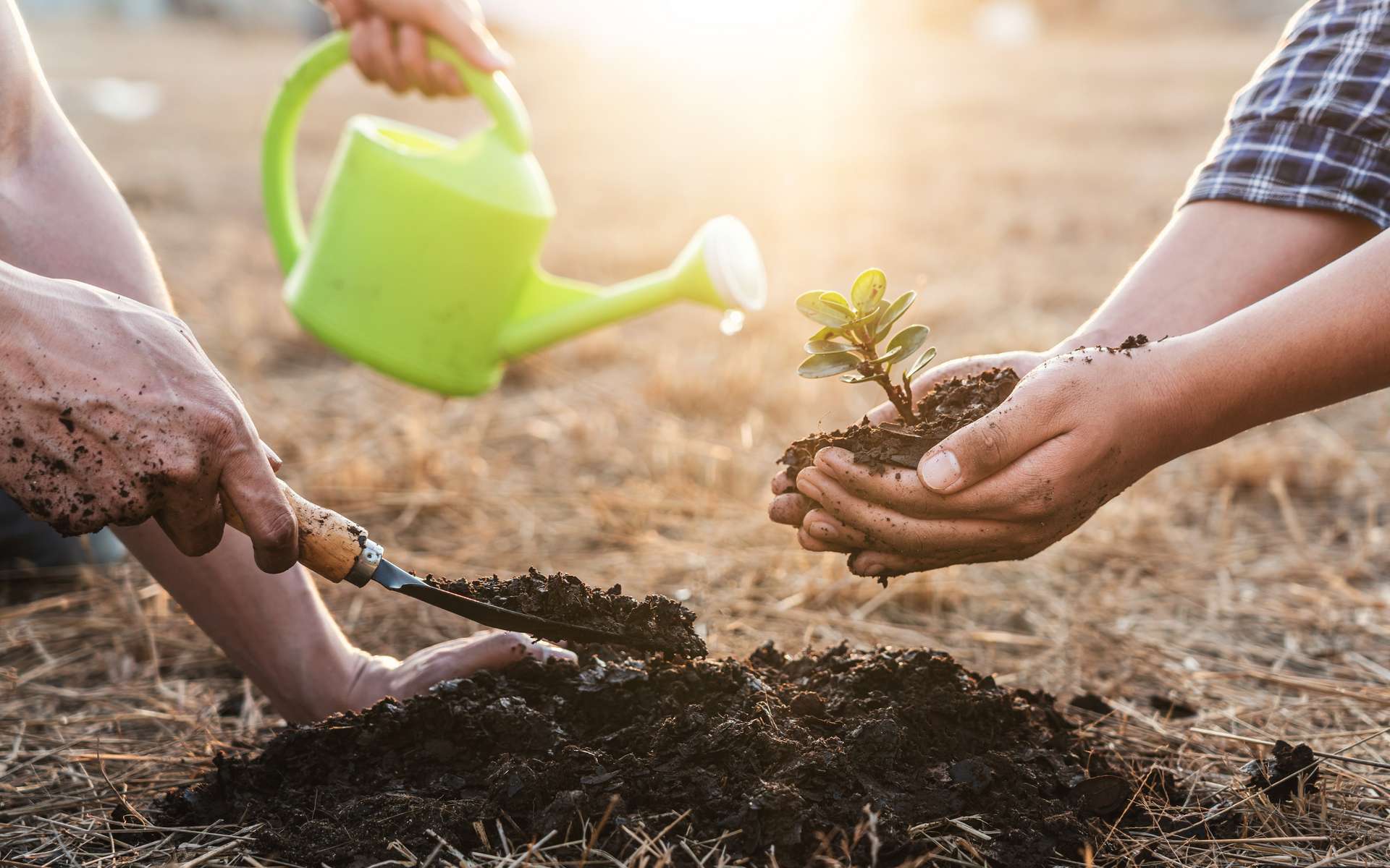 Journée de l'environnement : régénérer la Terre et nourrir toute une population, c'est possible