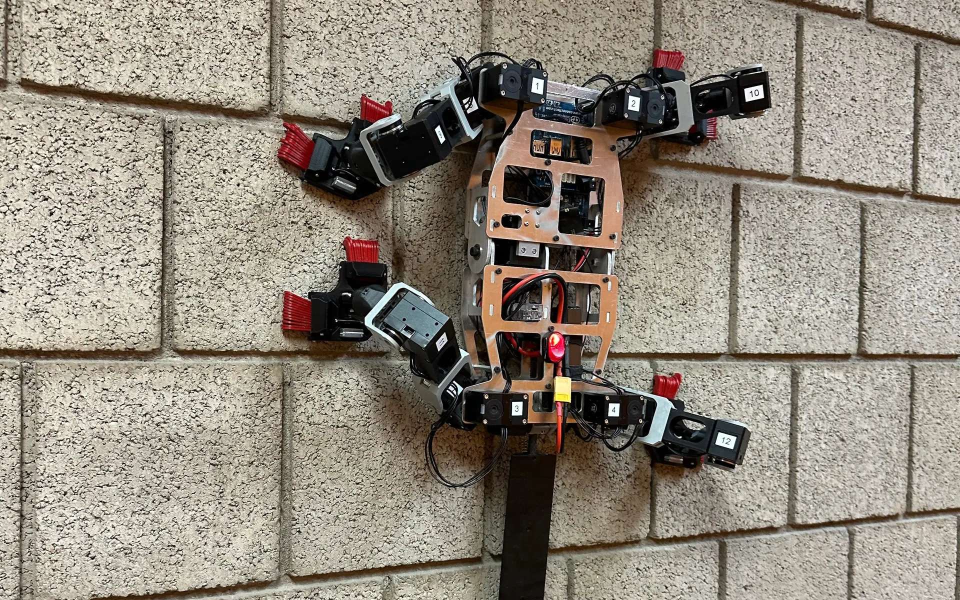 Cet étonnant robot développé avec la Nasa peut escalader n'importe quelle parois rocheuses