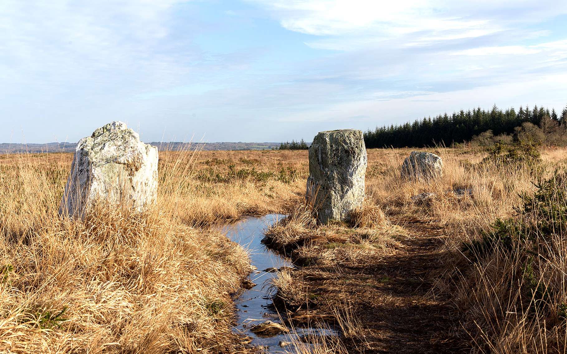 Tourisme dans le Finistère : entre terre et mer | Dossier