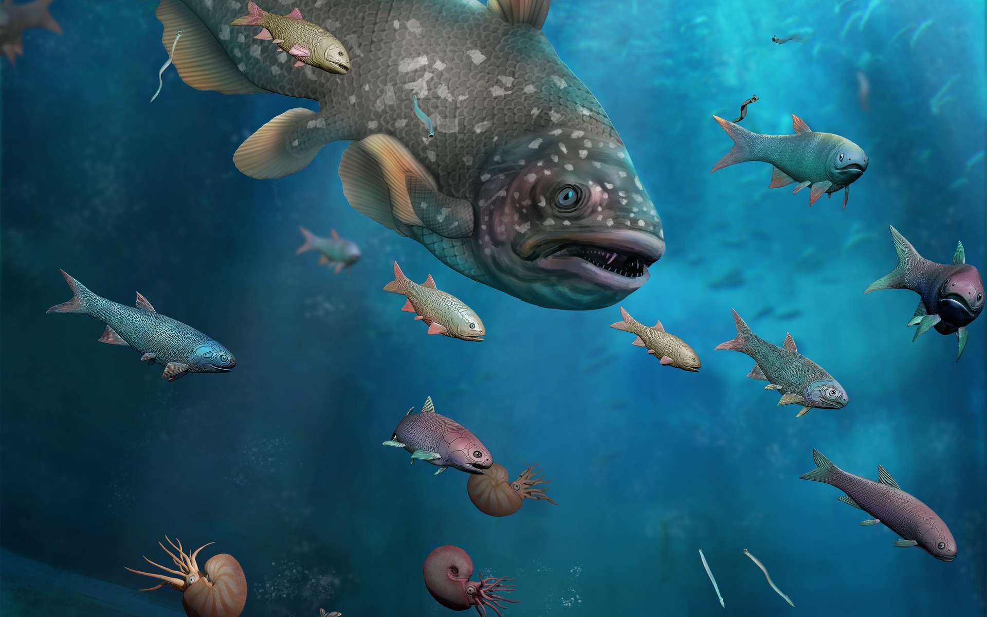 Les écosystèmes marins se sont remis rapidement de l'extinction massive du Permien-Trias