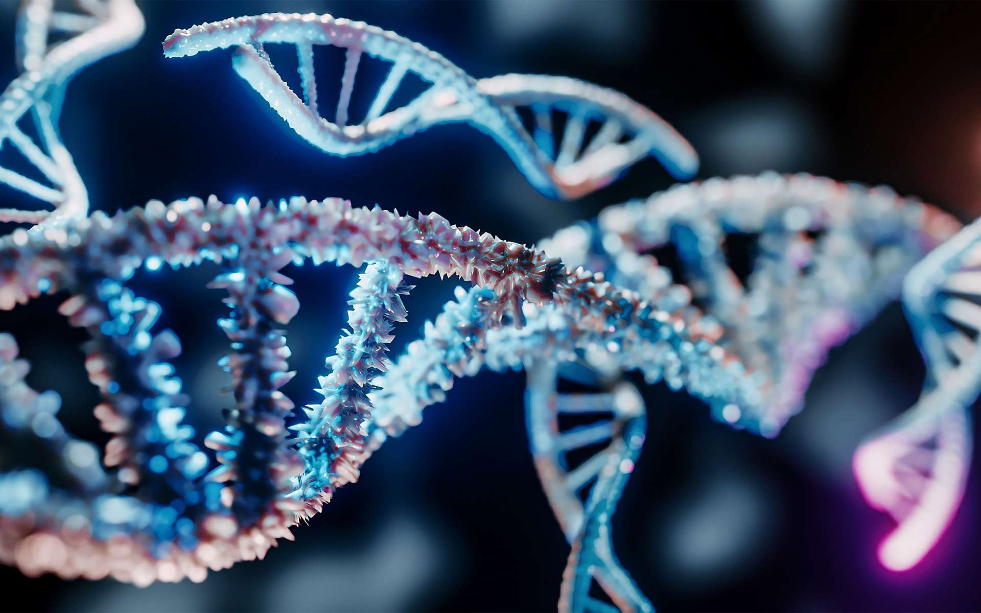 Cancer du sein : découverte d'un système de réparation de l'ADN