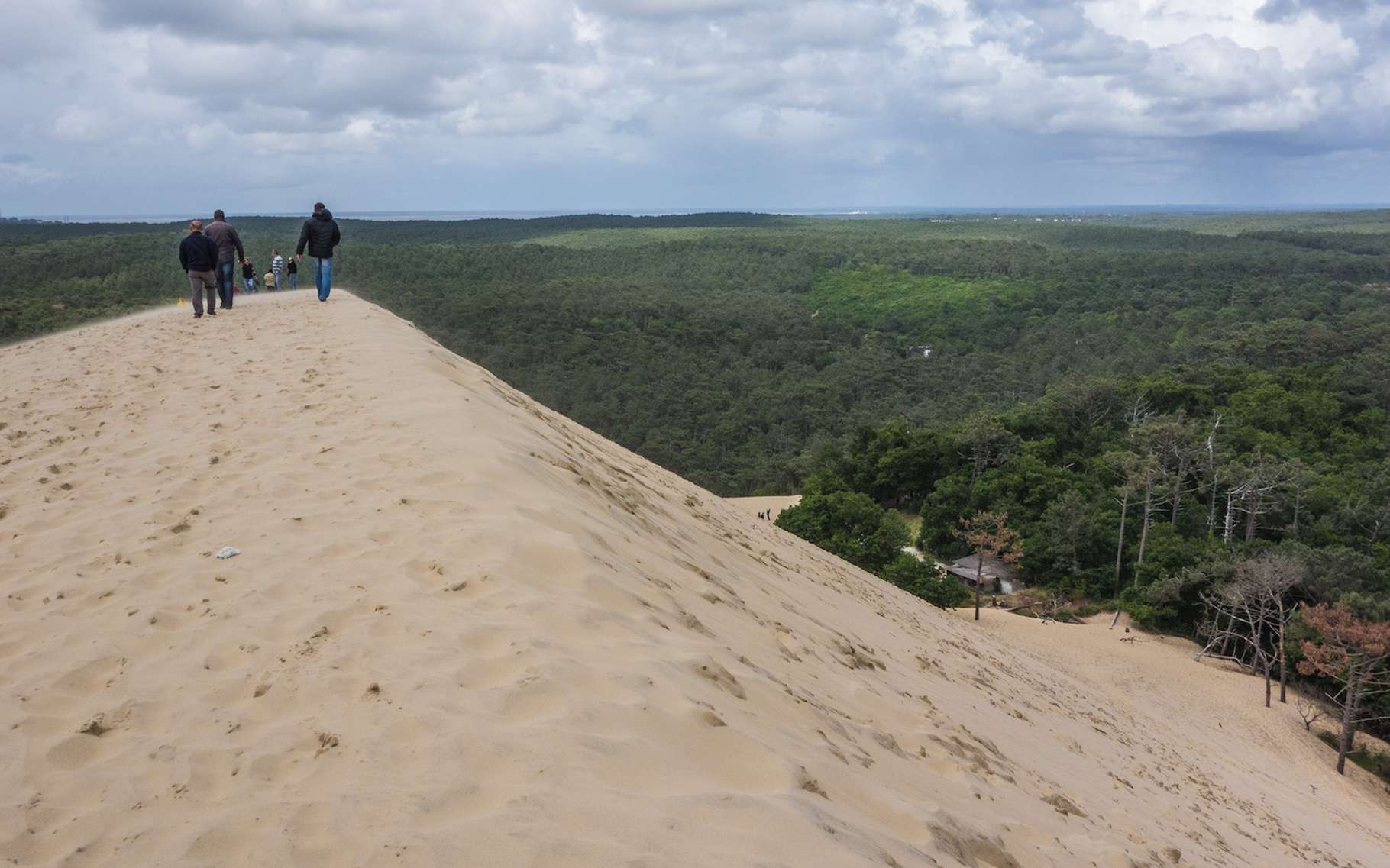 La dune du Pilat prend de la hauteur et gagne 30 centimètres La dune du Pilat prend de la hauteur et gagne 30 centimètres