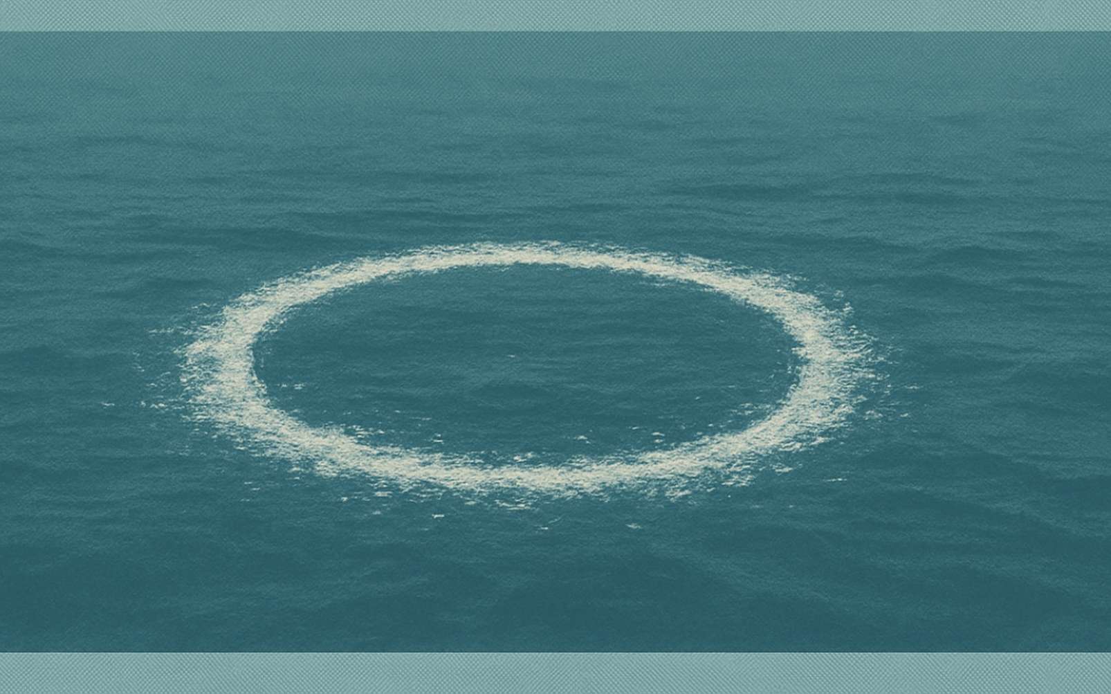 Un signal venu des profondeurs ? Le Seti a mené l'enquête sur cet étrange rituel des baleines en présence d'humains