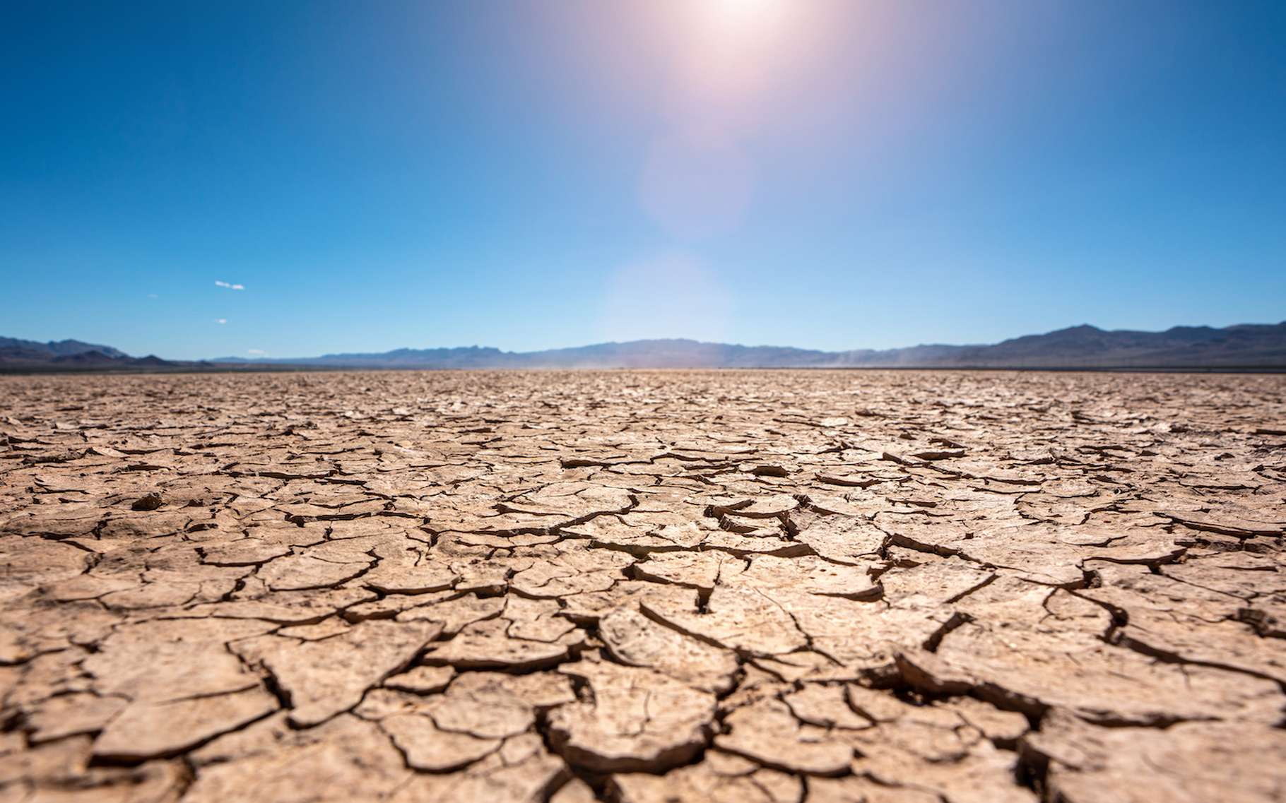 La sécheresse empêche le sol de stocker du carbone