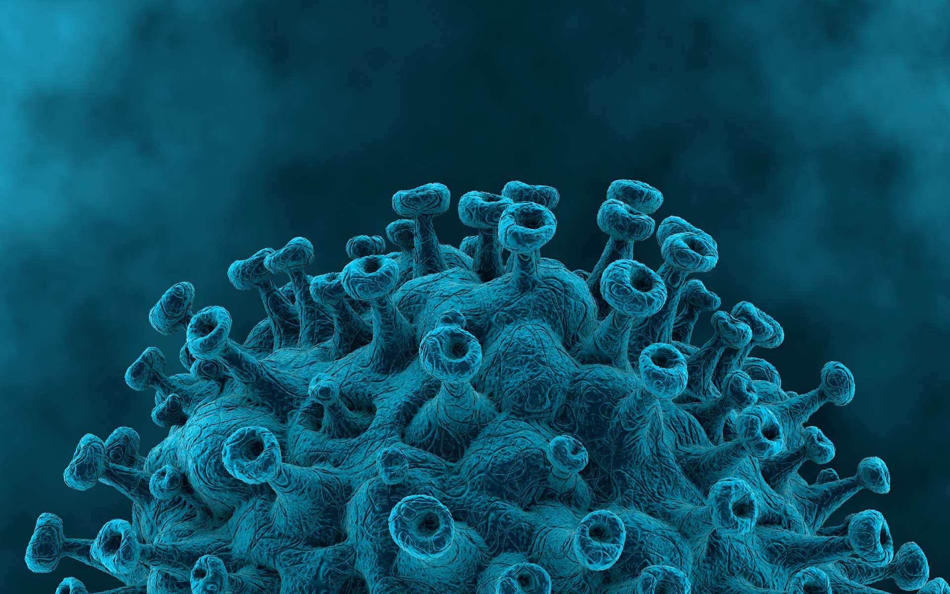Comment réagissent les anticorps neutralisants face au variant Omicron ? © Crocothery, Adobe Stock