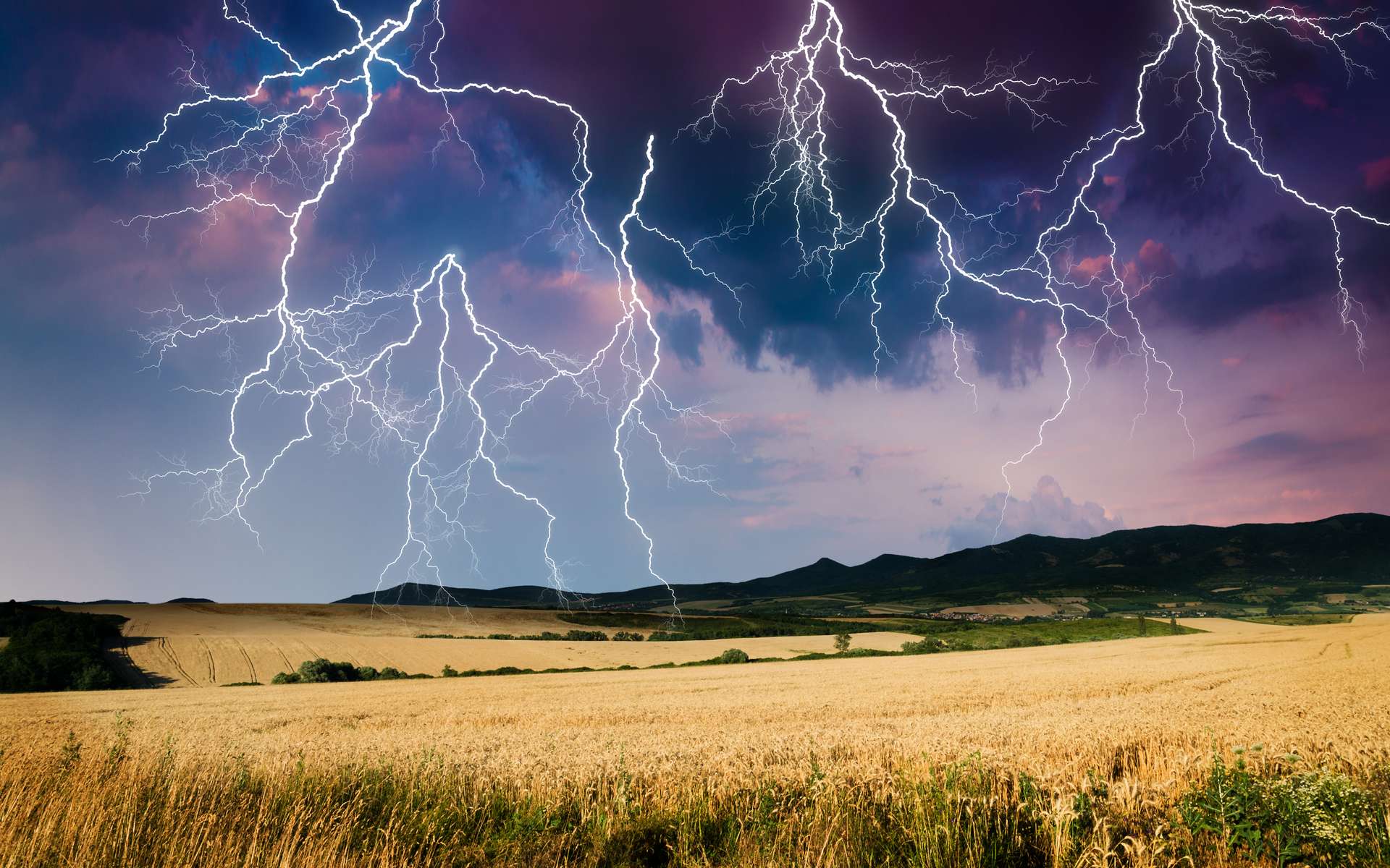 Aucune région n'échappera aux orages ce week-end : un risque de phénomènes violents en prévision !