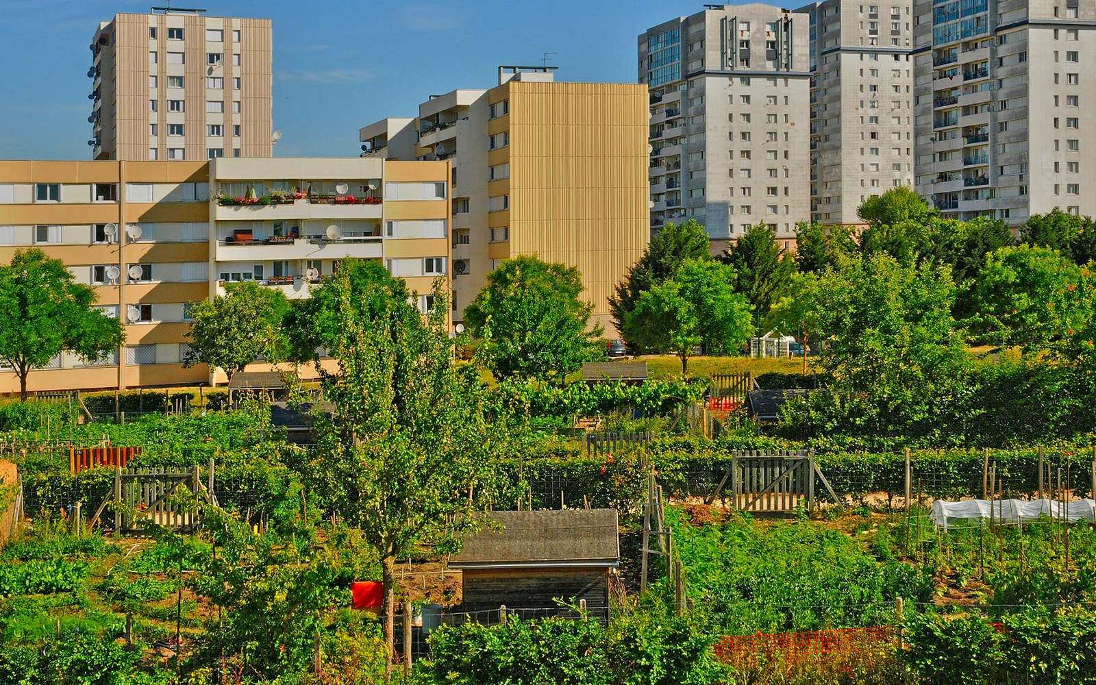 Jardins partagés dans les habitations des Mureaux, dans les Yvelines (78). © PackShot, Adobe Stock