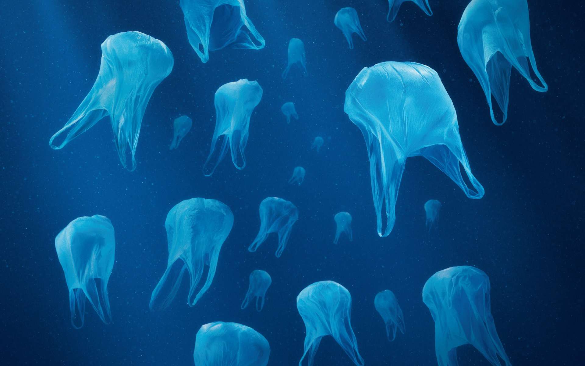 Les macrodéchets (sacs, bouteilles, boîtes, etc.) ne constitueraient que 20 % des objets en plastique qui flottent dans les océans. Par exemple, des animaux confondent les sachets dans l'eau avec des méduses et peuvent mourir asphyxiés. Les dégâts qu'ils peuvent causer sont donc directement visibles, à l'inverse de la pollution par les microplastiques. © Surfrider Foundation