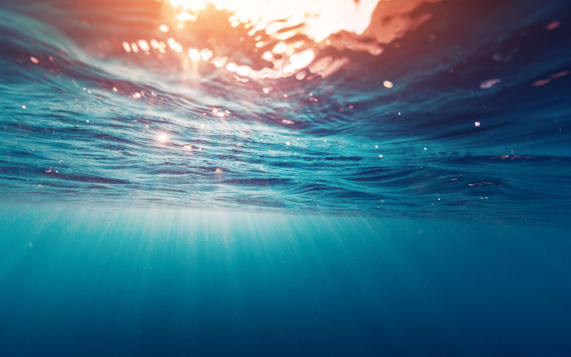 Des chercheurs de l’université Northeastern (États-Unis) montrent à quel point la surface de nos océans va être impactée par nos émissions de gaz à effet de serre. © Dudarev Mikhail, Adobe Stock