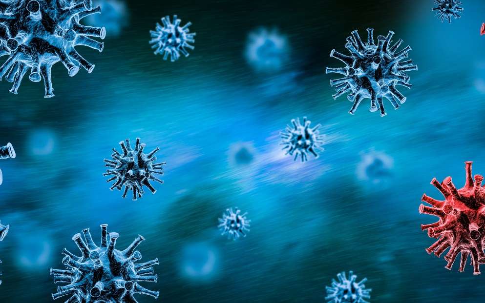 Les scientifiques connaissent seulement une infime partie des virus présents sur Terre. © Redpixel, Adobe Stock