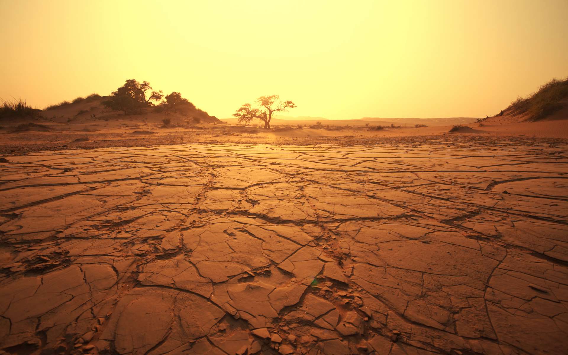 Le désert du Namib, dans le sud-ouest de la Namibie. © Galyna Andrushko, Adobe Stock