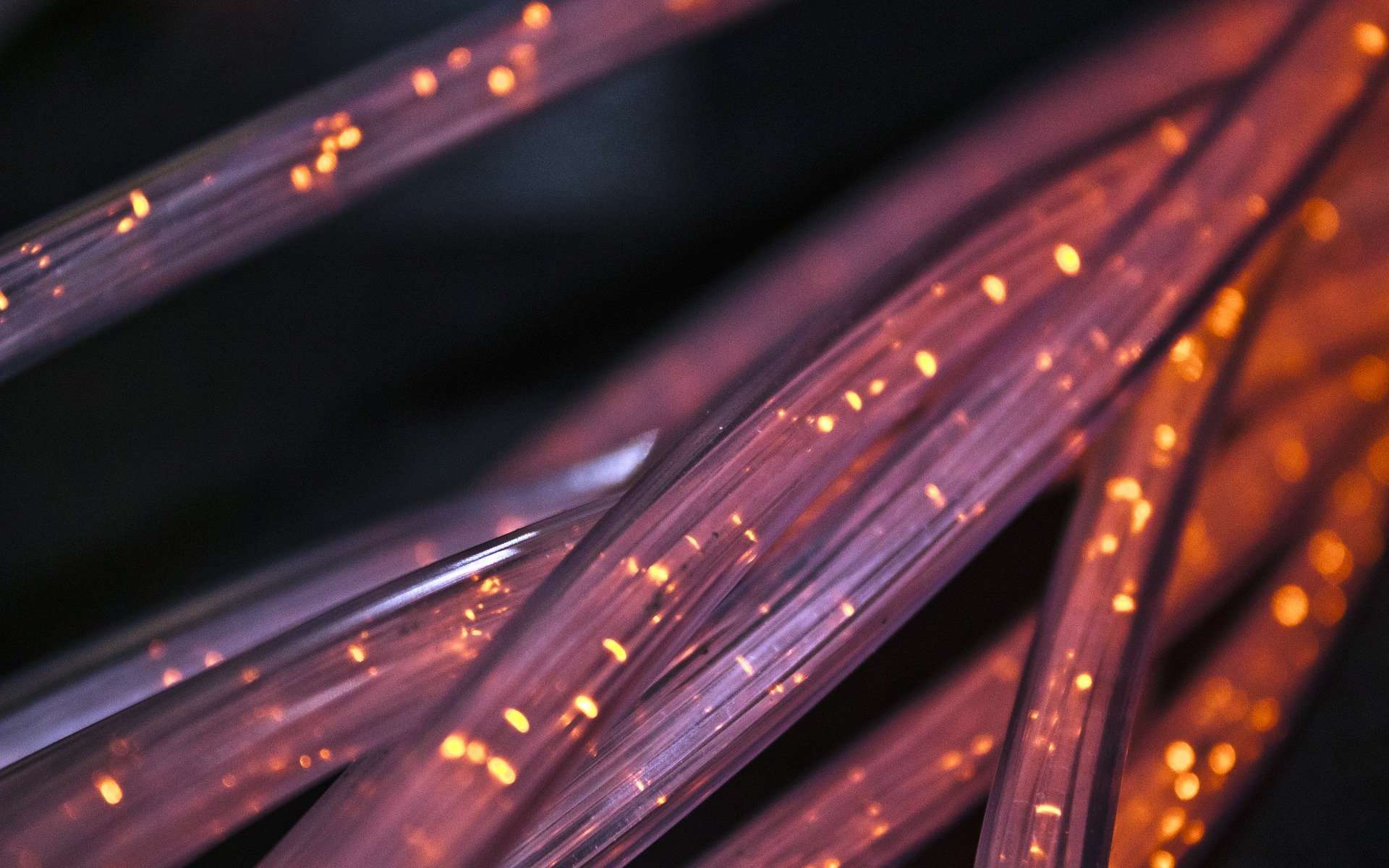 La fibre propose un débit de données plus important, ce qui permet de réduire la latence. © Lucent_Designs_dinoson20, Pixabay