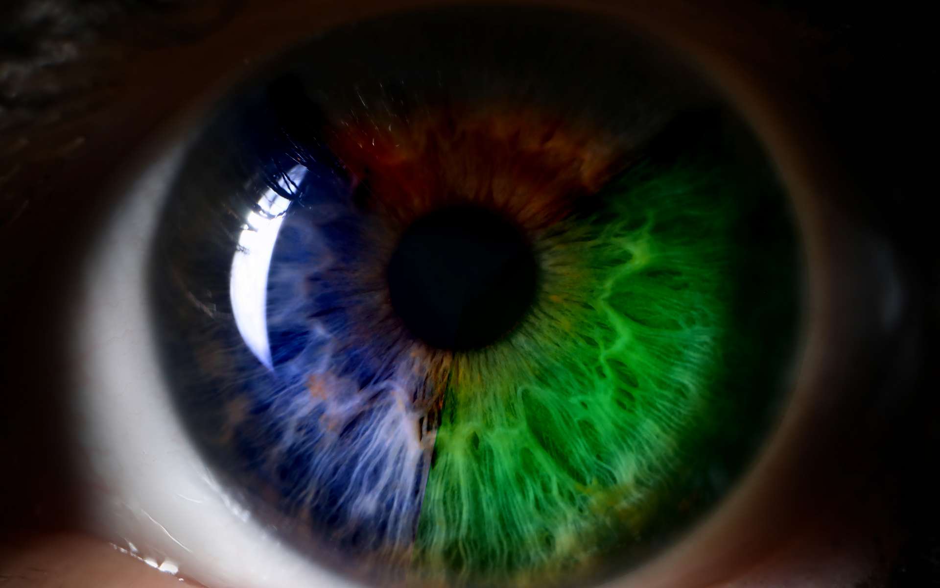 Ces lentilles permettent aux daltoniens de distinguer le rouge