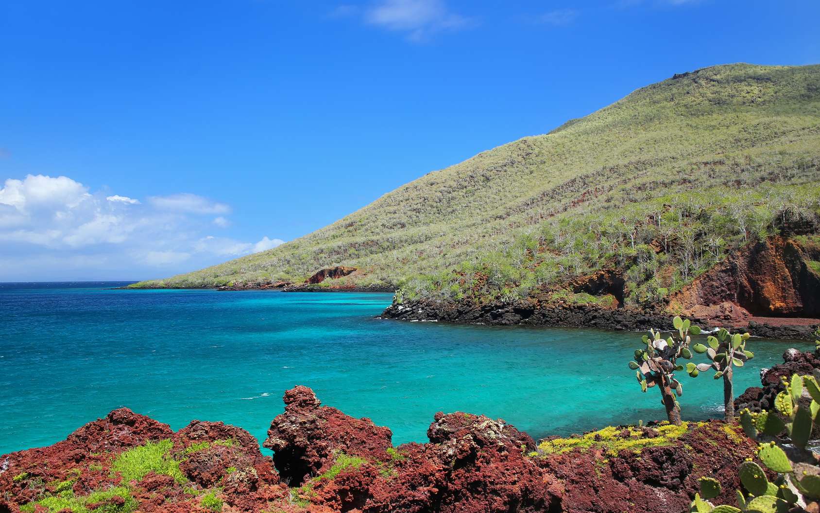 Le grand secret de la biodiversité des îles Galápagos