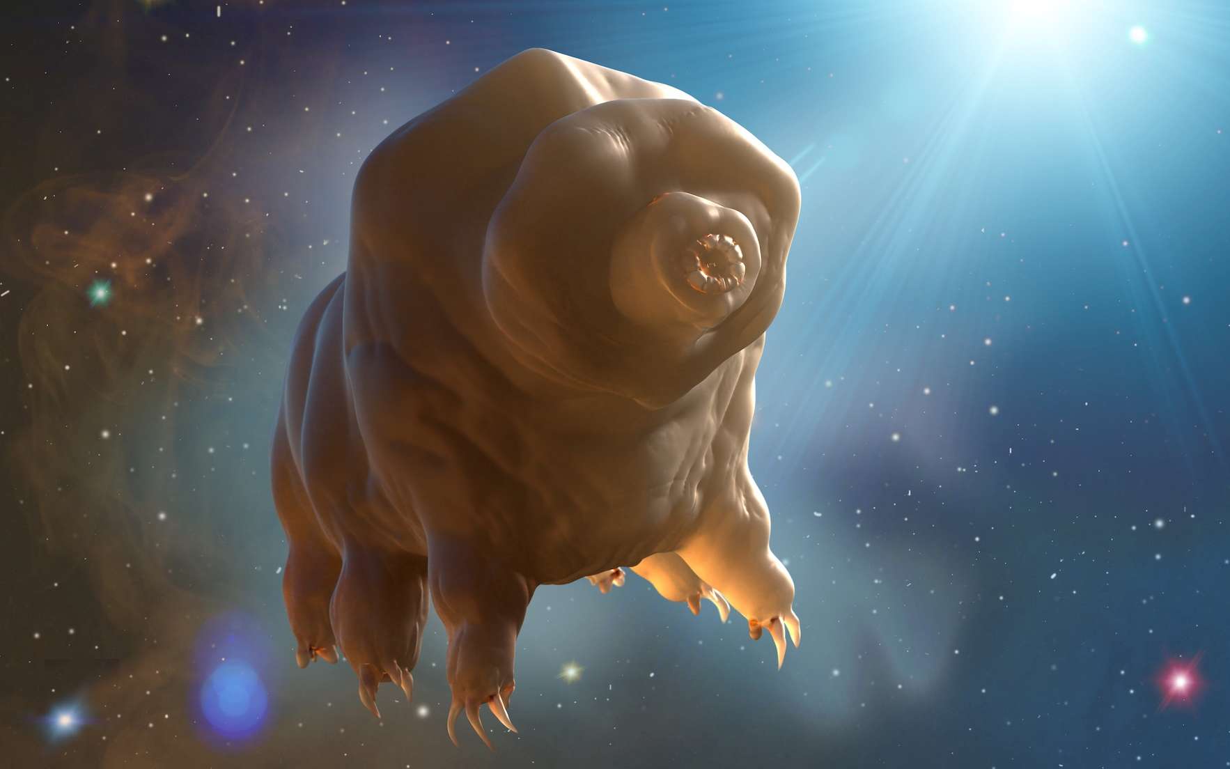Des scientifiques chinois ont fait une découverte incroyable sur les tardigrades qui pourraient nous protéger dans l'espace