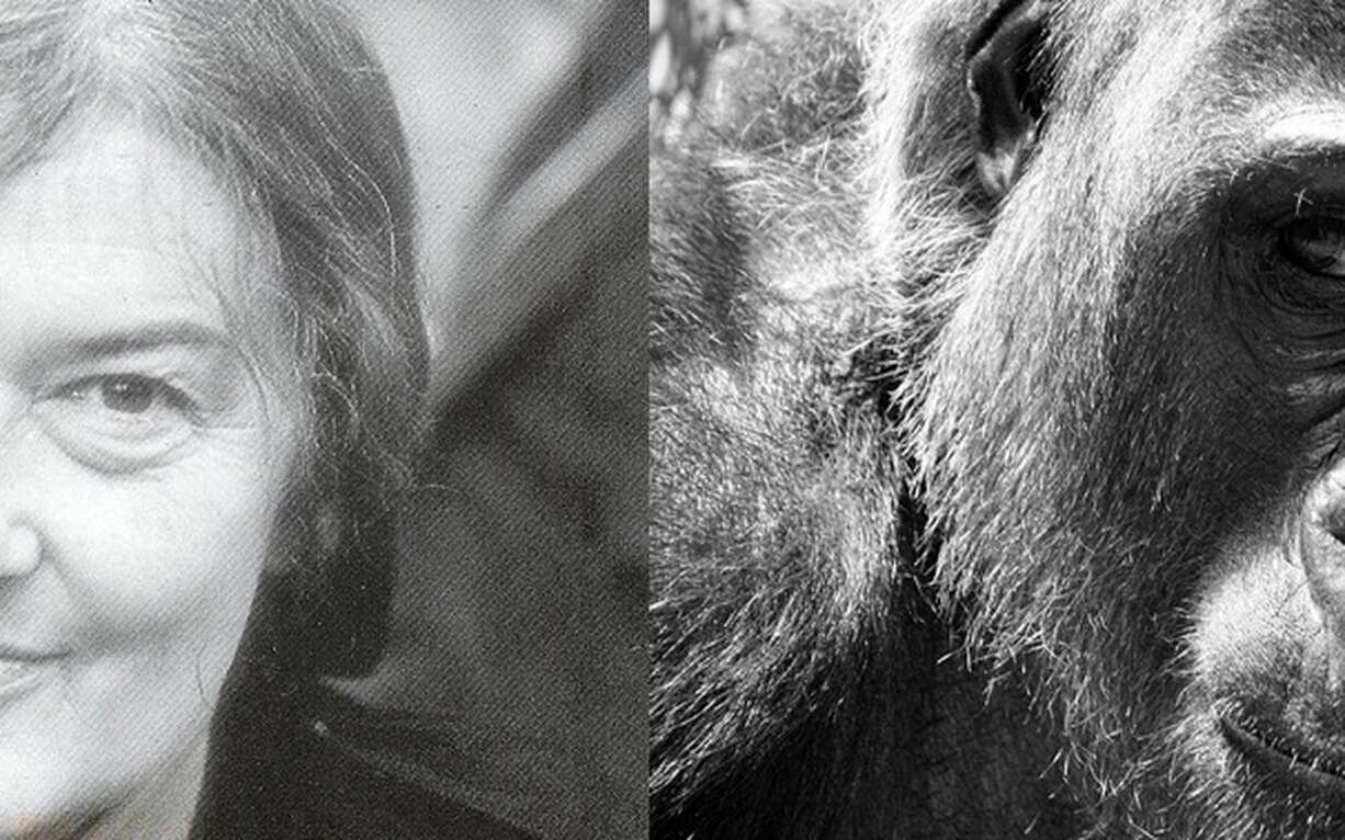 Photos Les Grandes Femmes De La Science