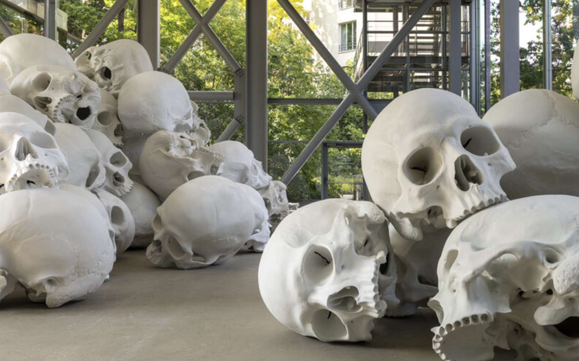 Art et sciences : les crânes géants de Ron Mueck vus par un paléoanthropologue