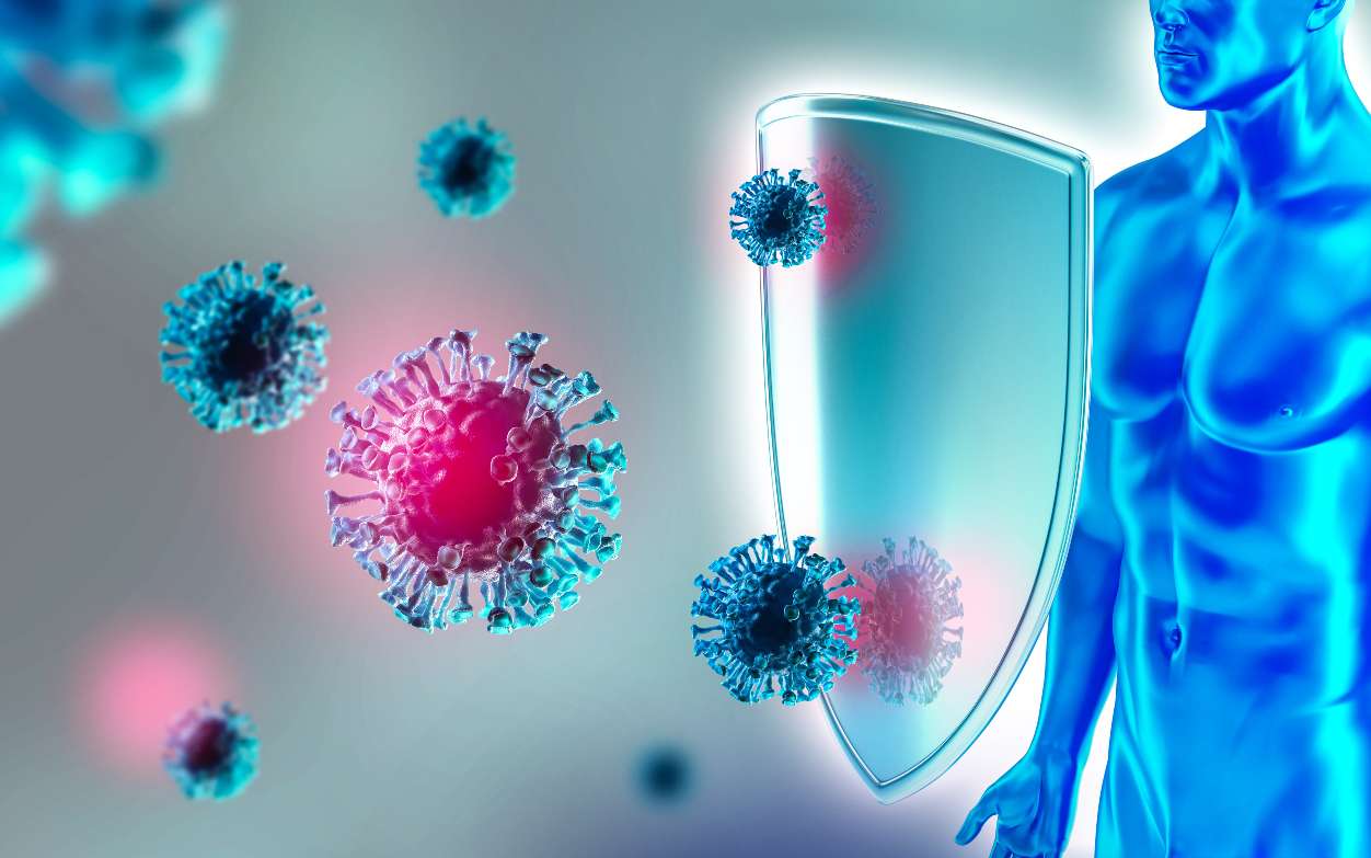 L'immunité innée est aussi une barrière efficace contre le coronavirus. © Bikej Barakus, Adobe Stock