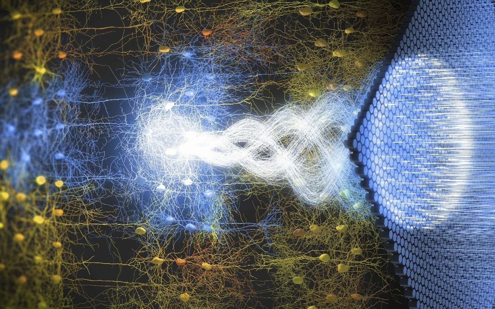 La sonogénétique, une nouvelle interface cerveau-machine pour restaurer la vision