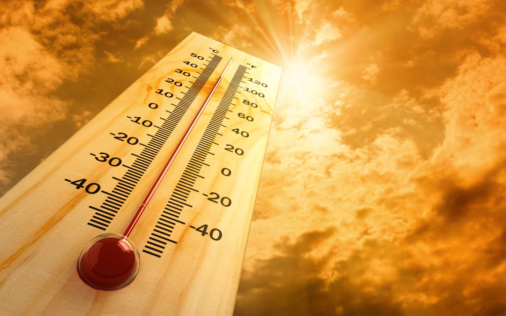Le stress thermique touchera un milliard de personnes d'ici 2100 si nous ne faisons rien