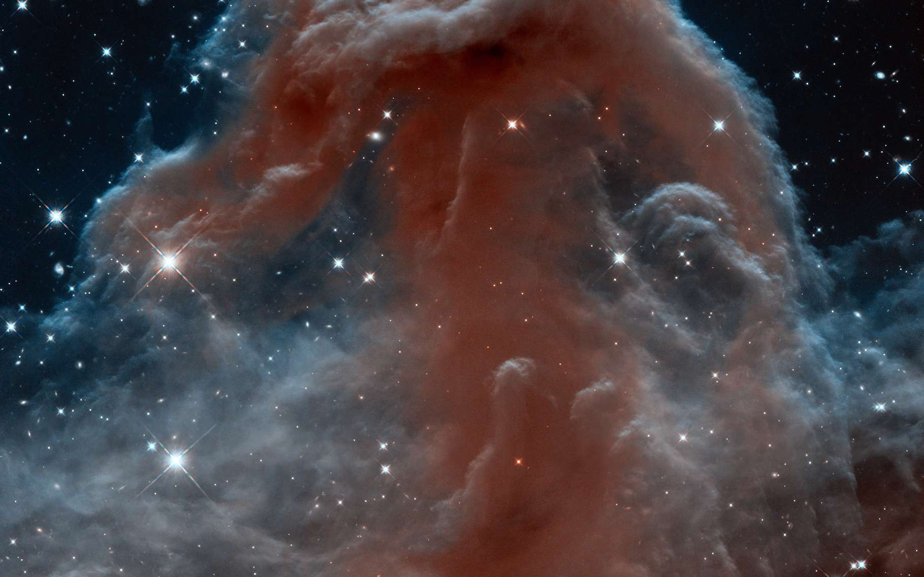 30 ans d'Hubble : la nébuleuse de la Tête de Cheval comme vous ne l'avez jamais vue