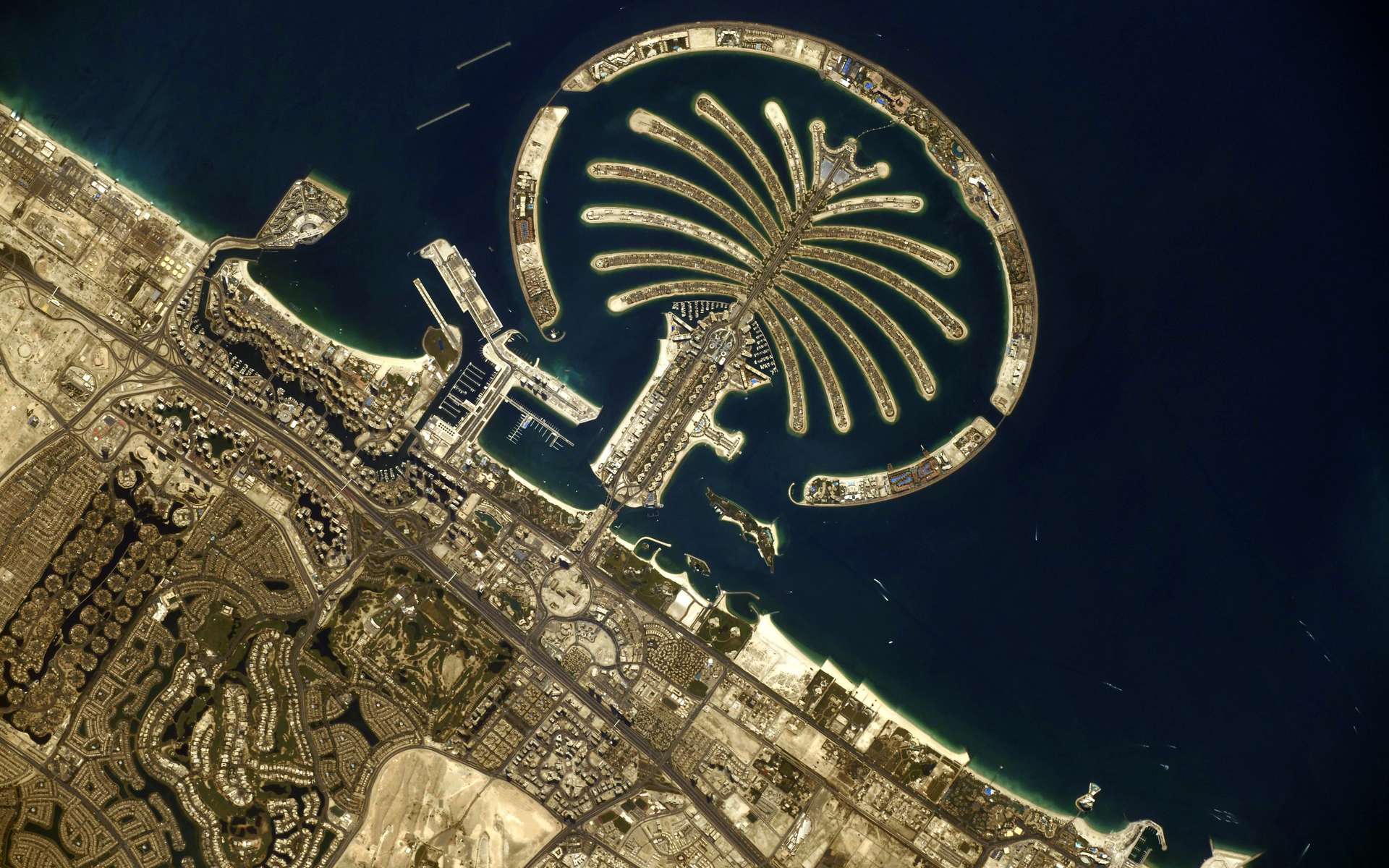 Dans les yeux de Thomas Pesquet : le palmier de Dubaï vu de l'espace