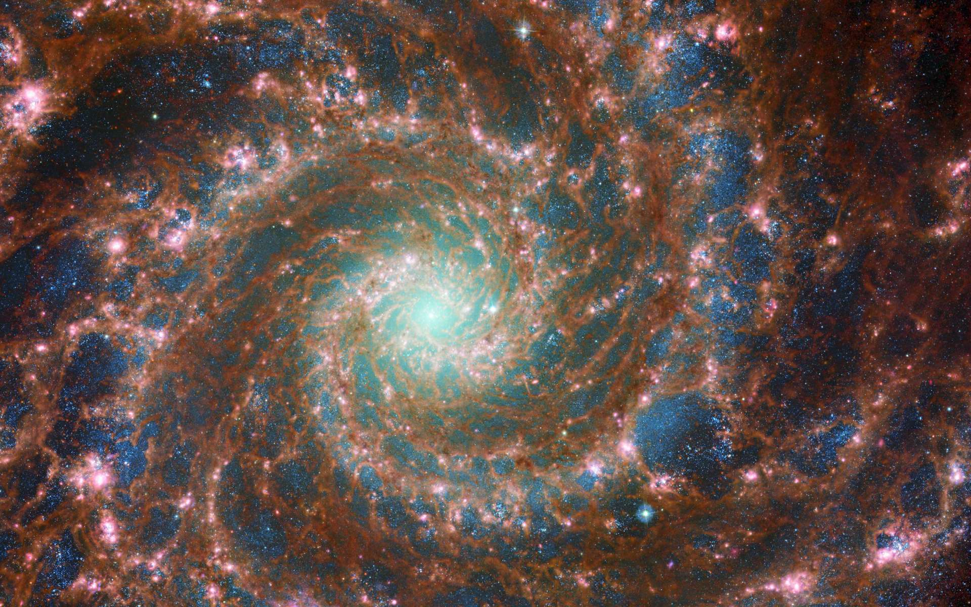 La parte inferior de la magnífica galaxia espiral del Fantasma fotografiada por el telescopio James-Webb