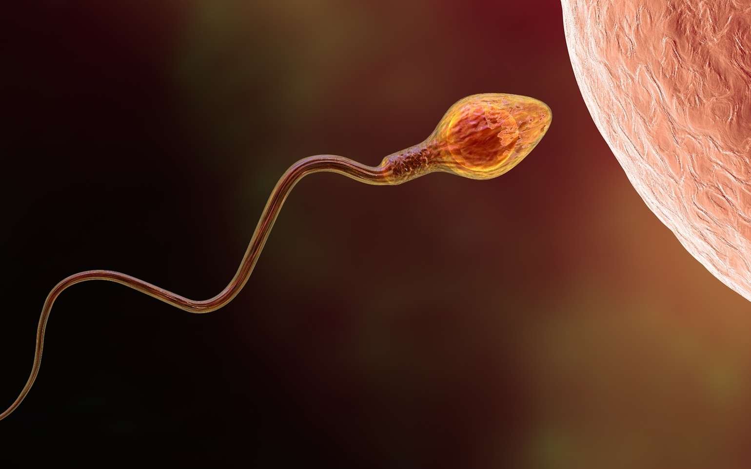 Déclin alarmant de la fertilité mondiale : l'extinction de notre espèce est-elle en marche ?