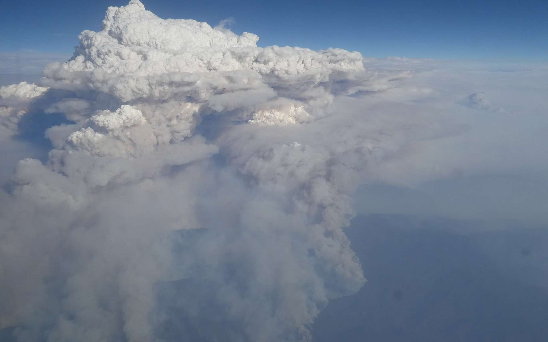 Un pyrocumulonimbus photographié au-dessus de Victoria durant les incendies en Australie, début 2020. © CC by-sa 4.O