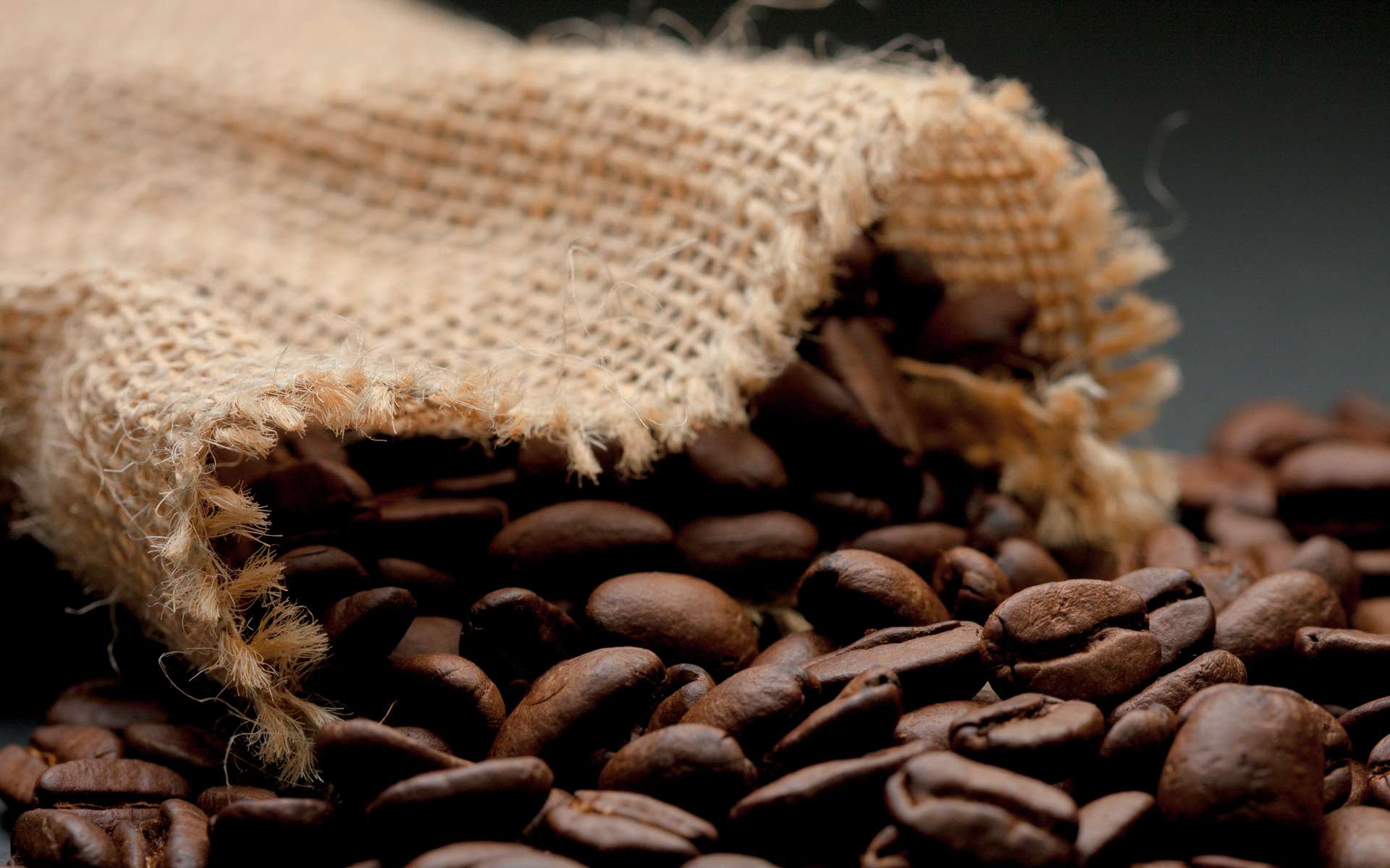 Des solutions existent pour consommer du café sans utiliser des filtres à café à usage unique. © DavidRojasS, Adobe Stock