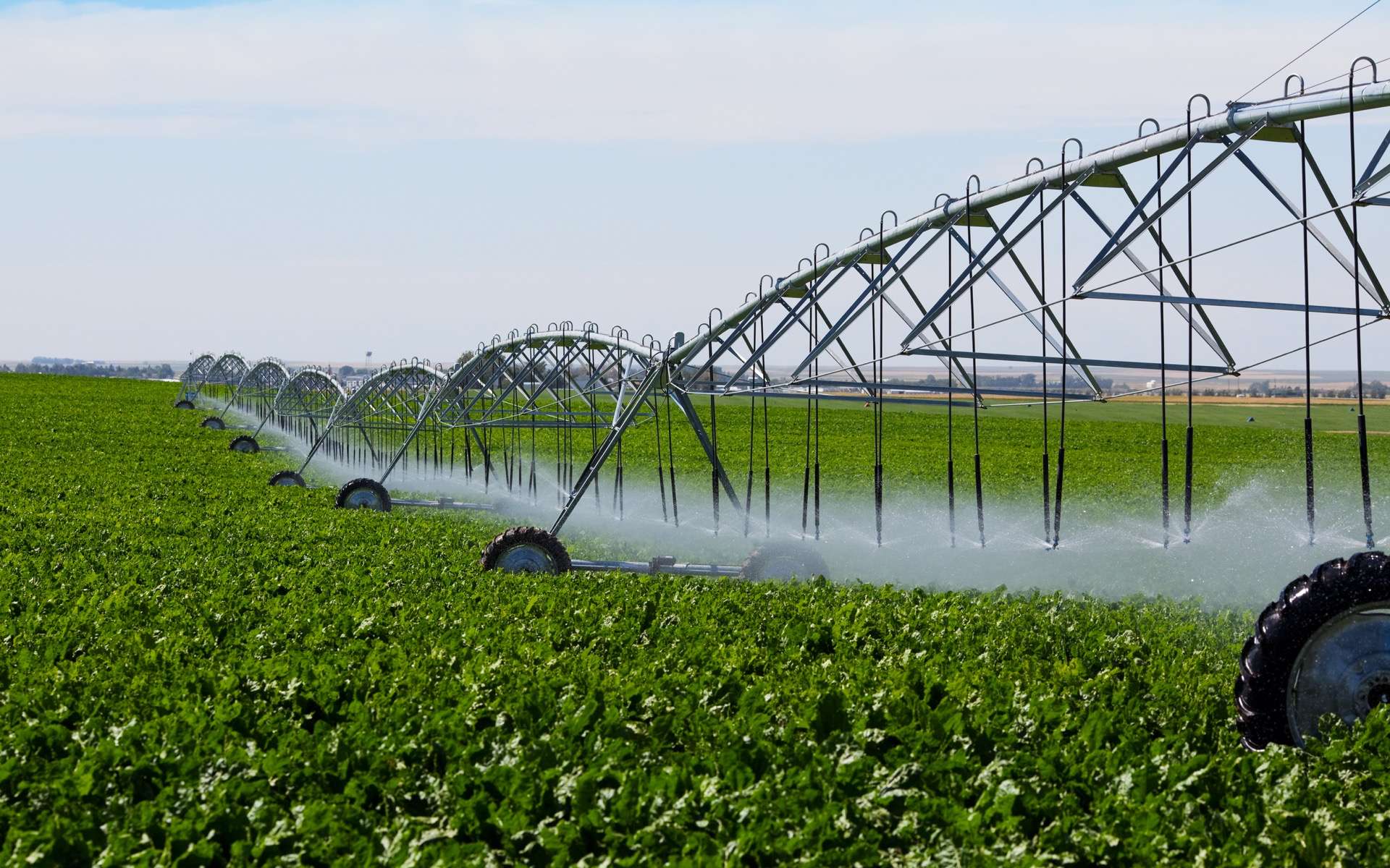 2050 : la bataille de l'eau s'intensifie en France, et voici pourquoi ça peut mal finir