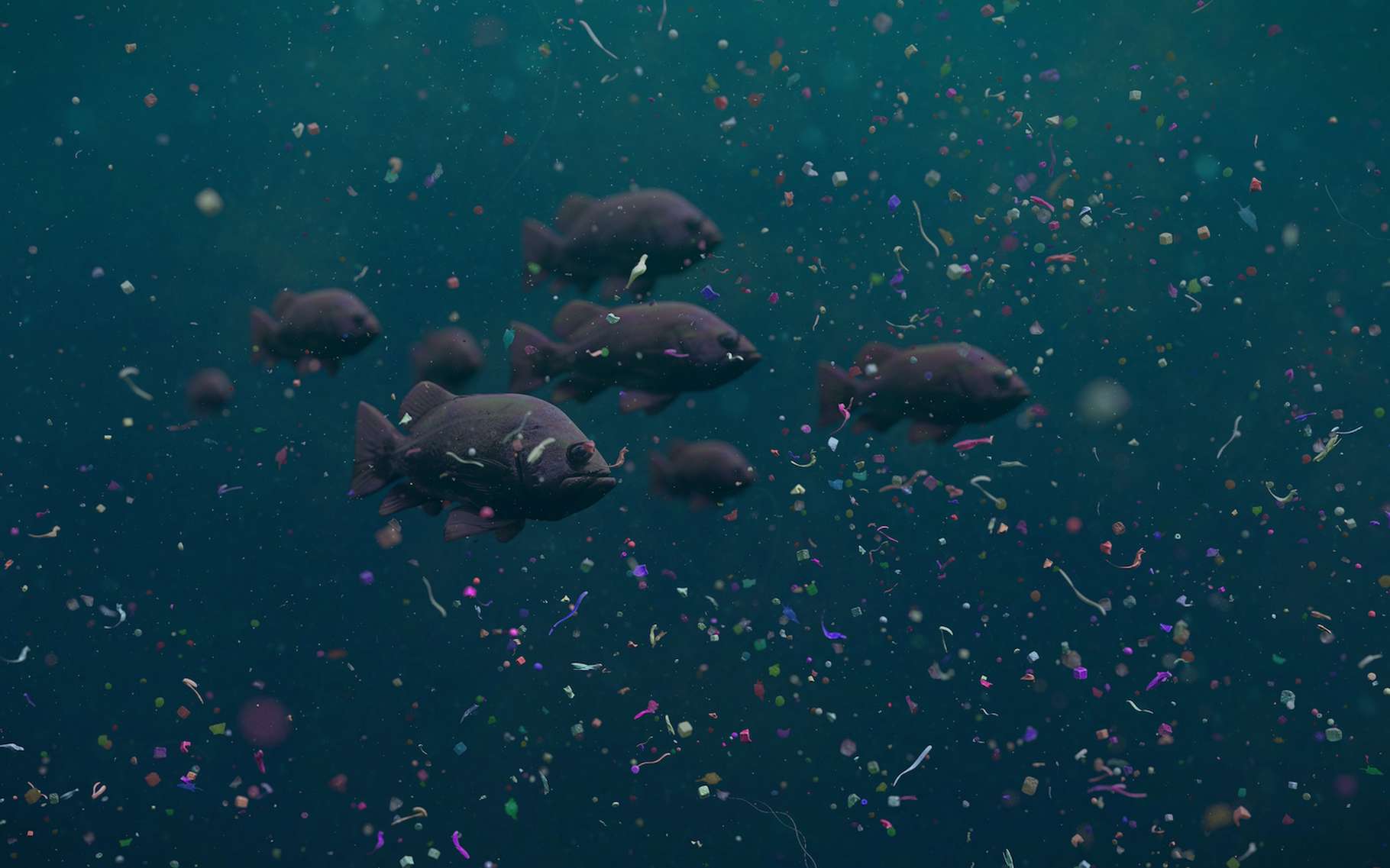 Ces poissons-là nagent dans un océan de déchets plastiques. Mais le petit robot, lui aussi en forme de poisson, inventé par une équipe de l’université du Sichuan (Chine) pourrait bien aider à nettoyer leur environnement. © dottecyeti, Adobe Stock