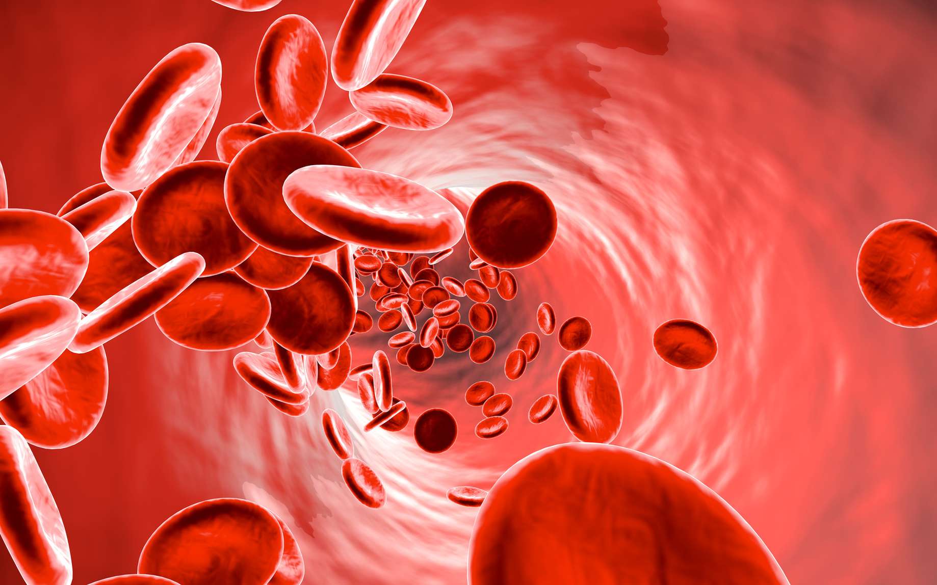 Comment le sang est-il fabriqué ? © Spectral-Design, Fotolia