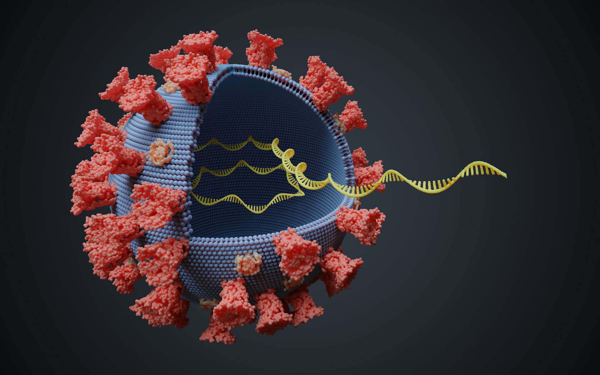 Aujourd'hui, l'ARN messager permet d'élaborer des vaccins contre des virus pathogènes. © Vchalup, Adobe Stock