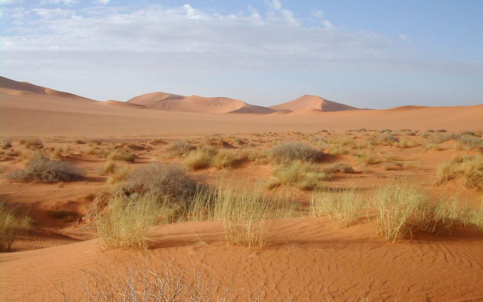 Paysage du Sahara actuel. © Florence Devouard, Wikimedia Commons, CC by-sa 3.0