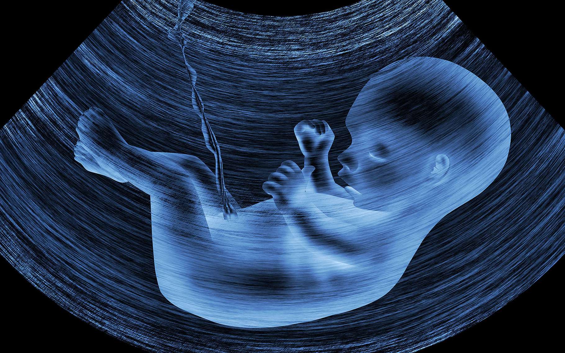 La Grossesse Mois Par Mois Dossier