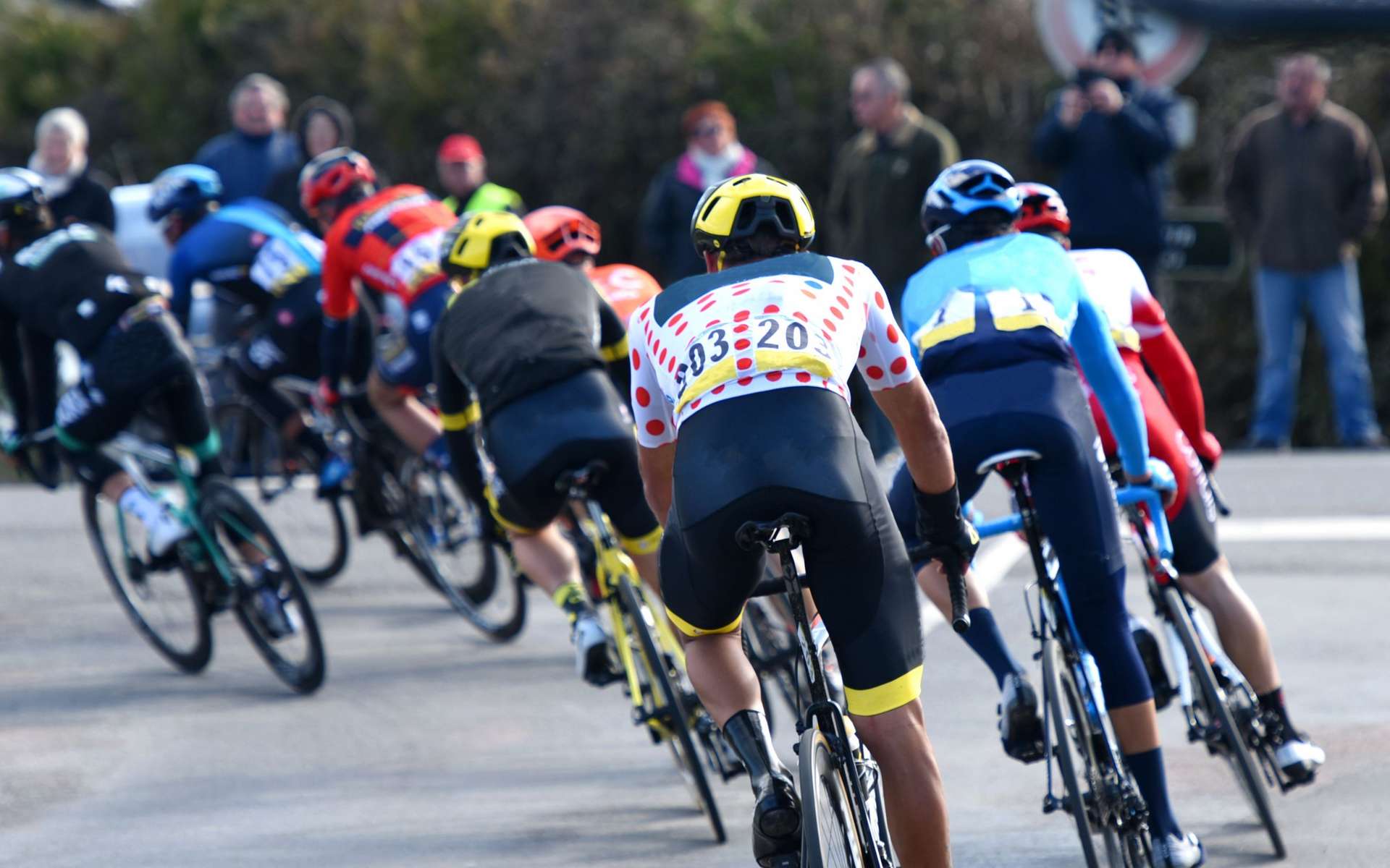 Un virus bovin s'invite sur le Tour de France : que cache vraiment la fermeture du col des Saisies ?