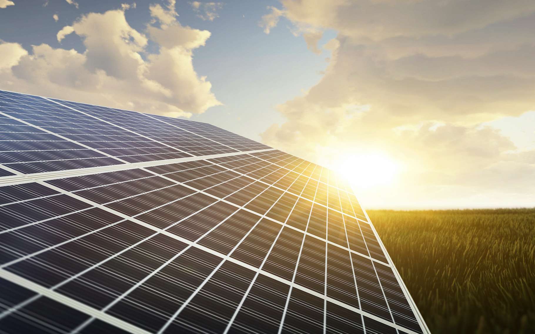 Intégrer des nanofils d’arséniure de gallium (GaAs) au-dessus d’une cellule solaire photovoltaïque pourrait doubler son efficacité pour un prix compétitif. © Jess rodriguez, Adobe Stock